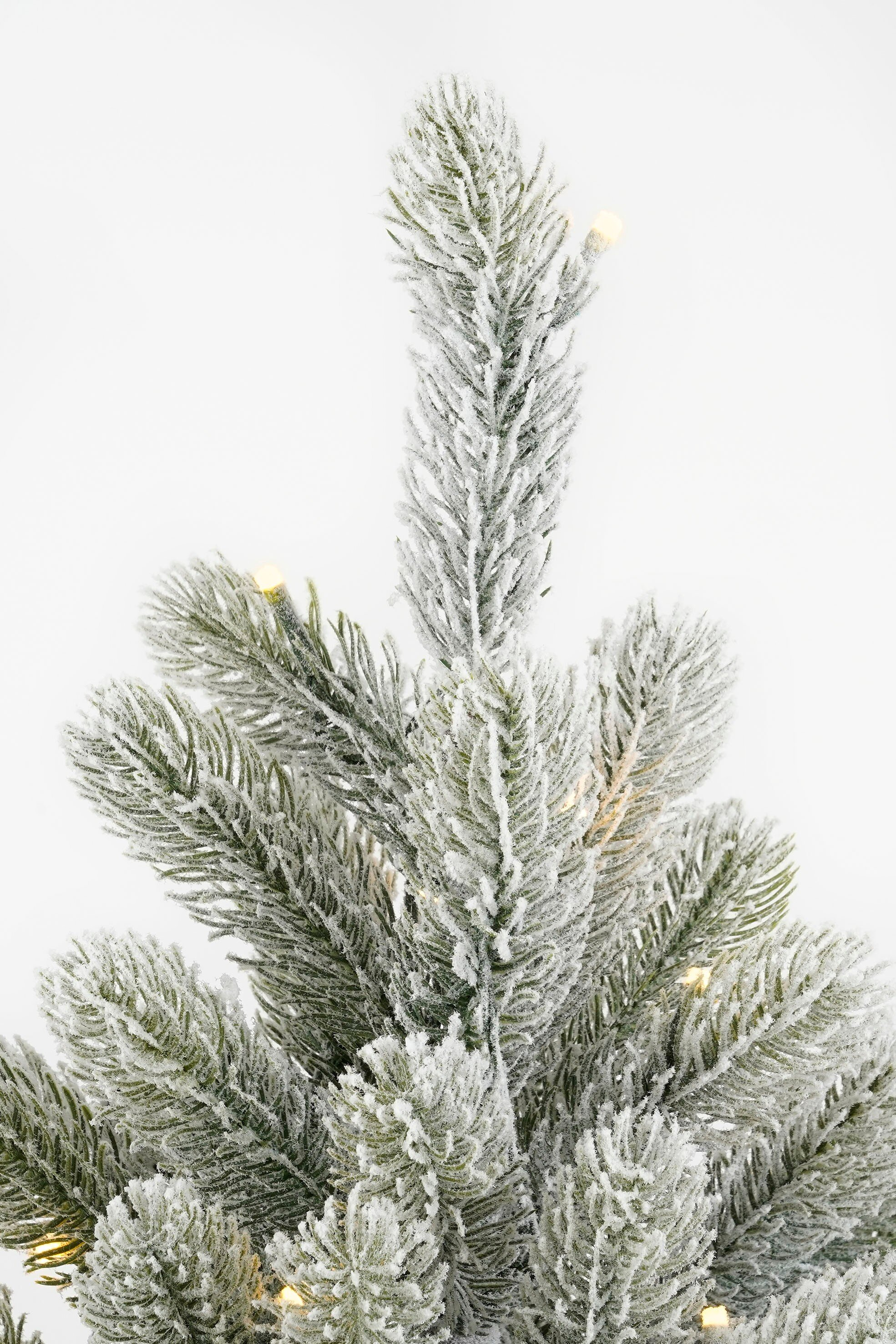 Gros plan sur un sapin de Noël givré. Les aiguilles vertes sont recouvertes de givre blanc, avec de petites lumières.