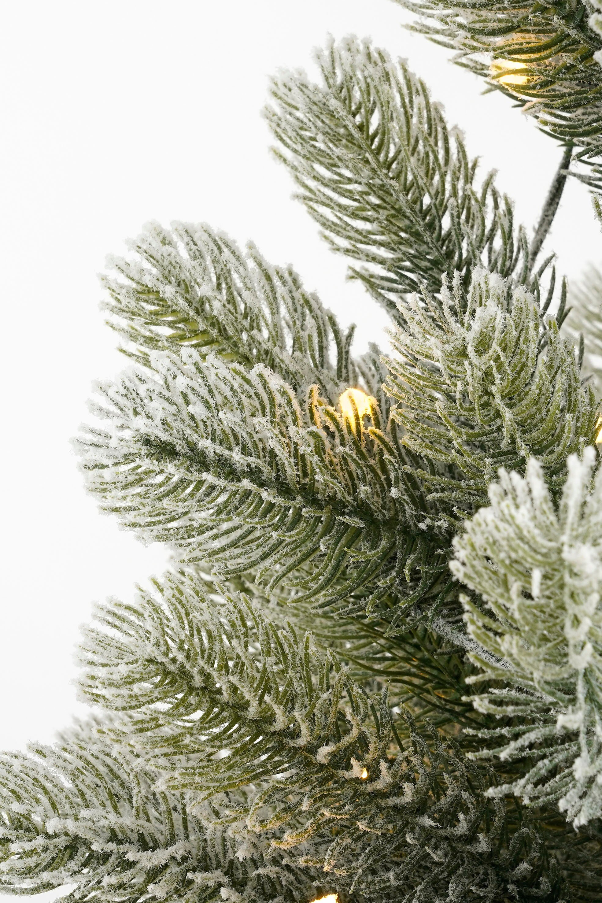 Gros plan sur un sapin de Noël vert givré. Les aiguilles sont recouvertes de givre blanc, avec quelques lumières.