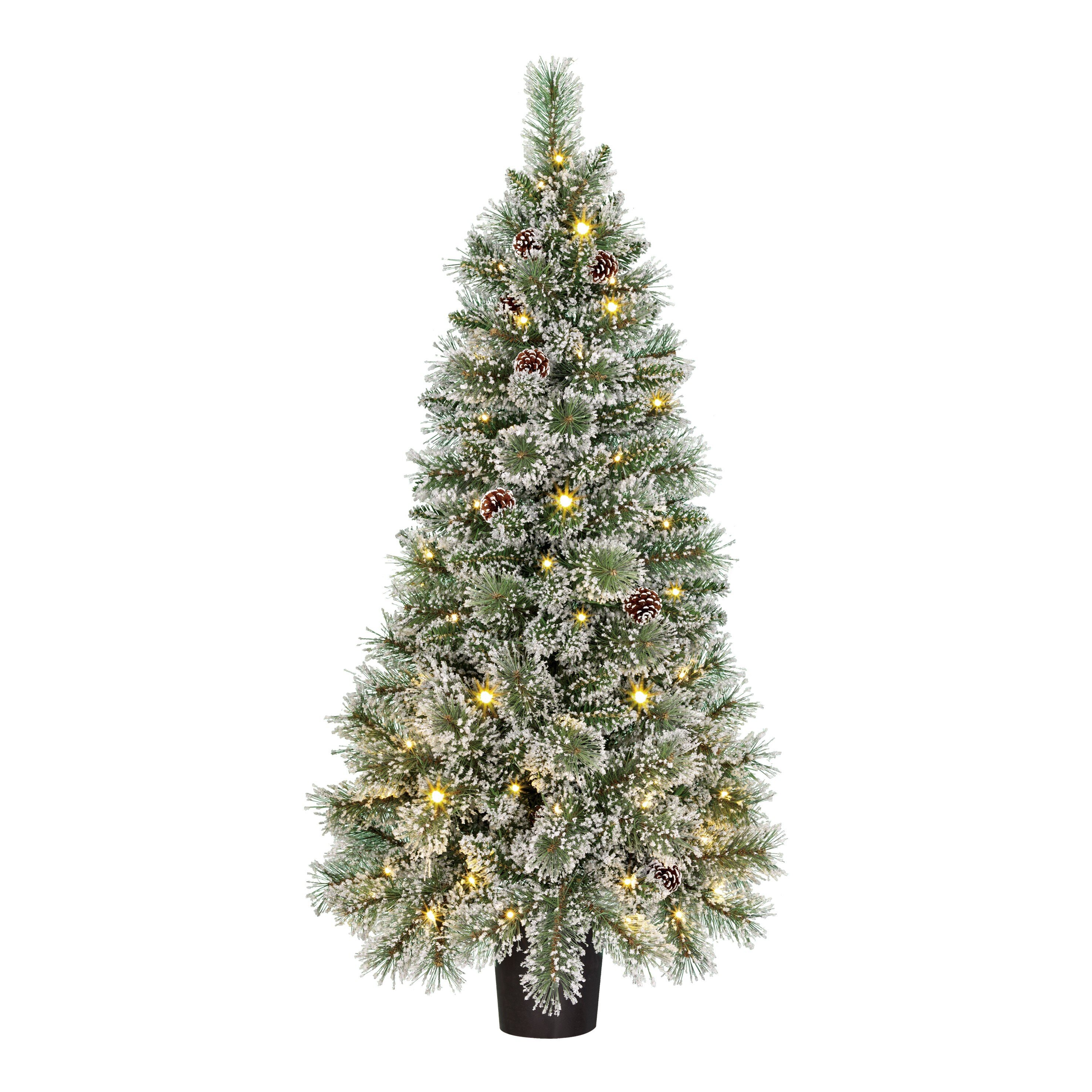 Een bevroren kerstboom met dennenappels en lichtjes, op een zwarte pot.