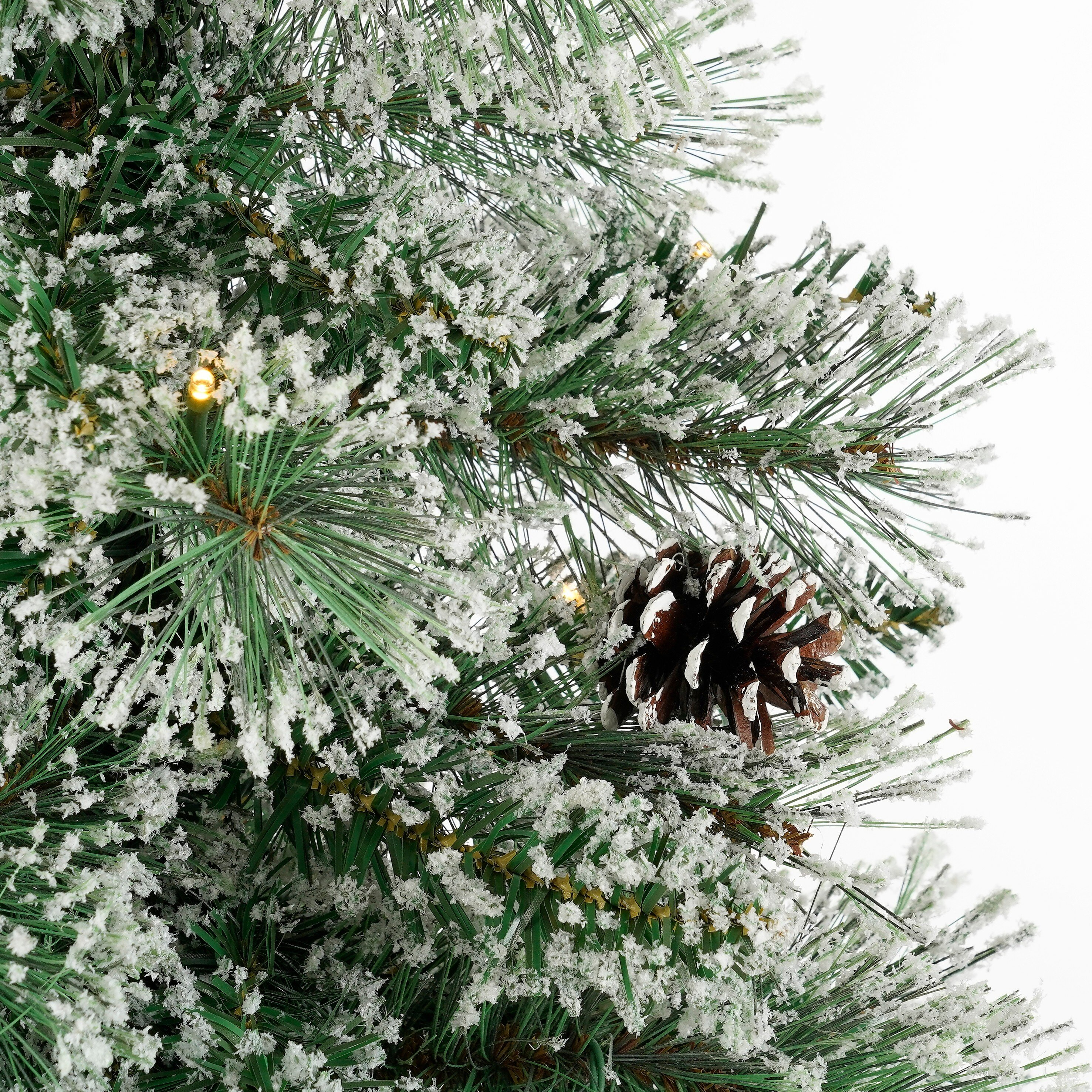 Close-up van een met sneeuw bedekte dennenboomtak met een dennenappel. Groene naalden, witte sneeuw en witte achtergrond.