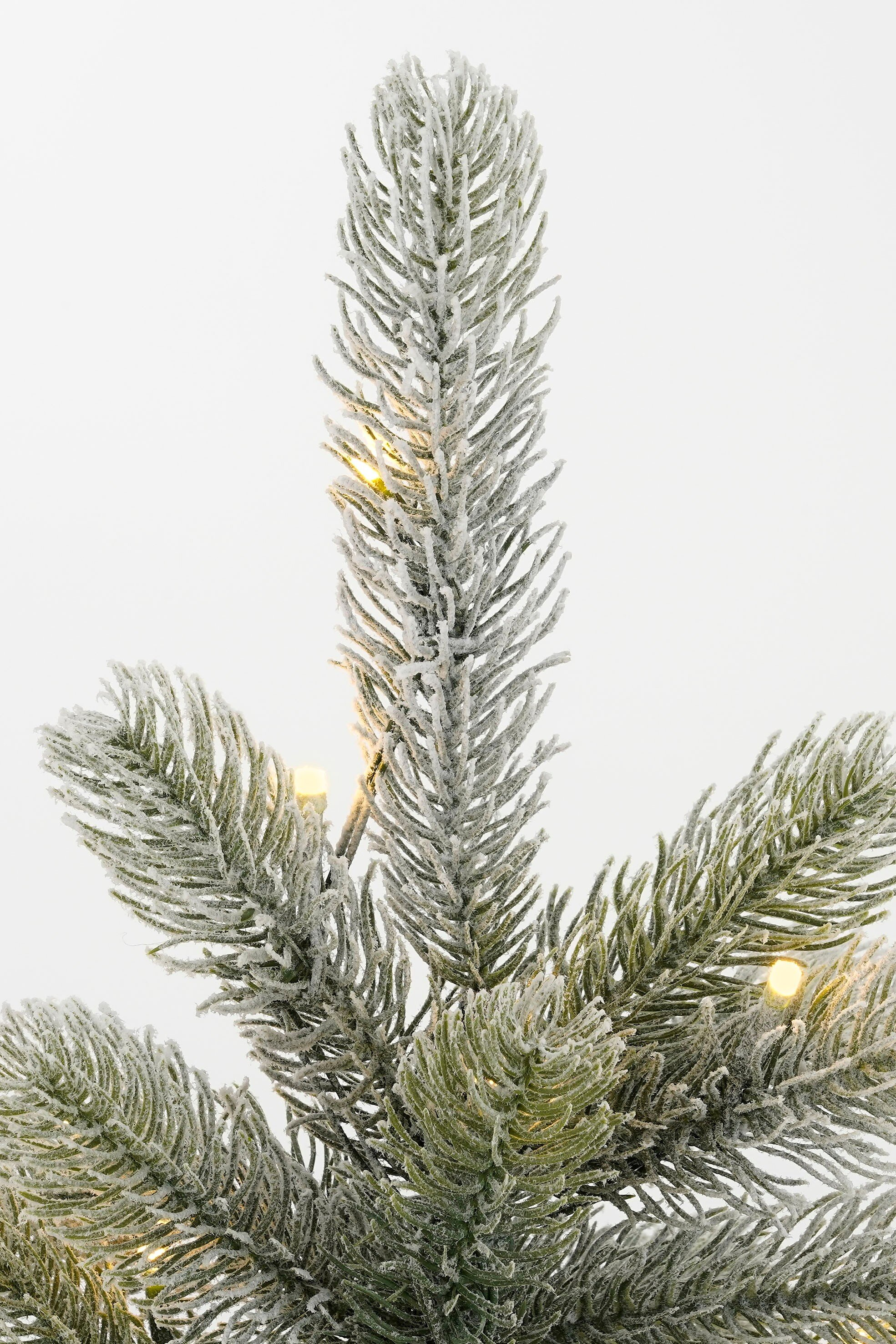 Gros plan d'une branche de sapin givrée avec de petites lumières sur fond blanc.