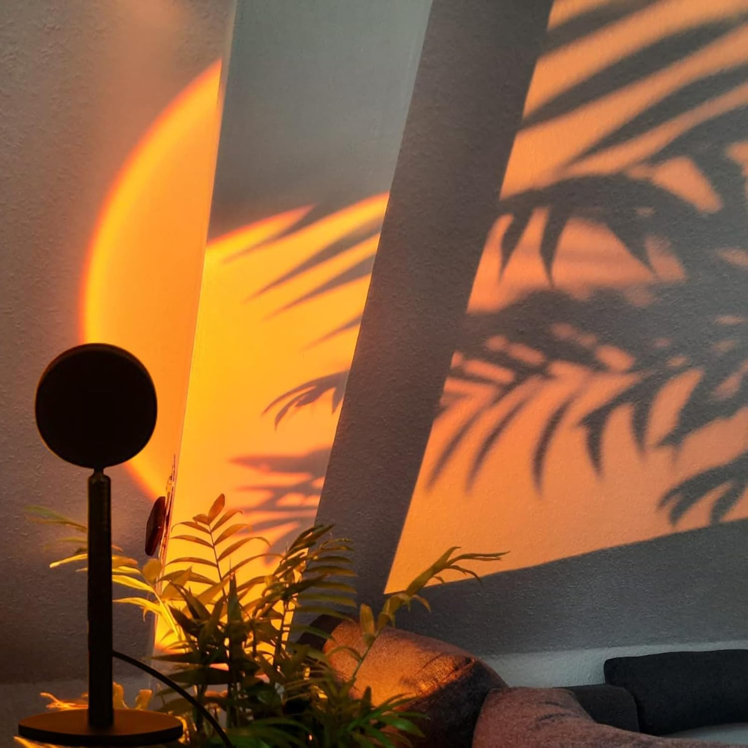 Eine Lampe wirft einen orangen Schein auf eine Wand. Palmenblattschatten sind sichtbar. Eine Pflanze und eine schwarze Lampe sind im Vordergrund.