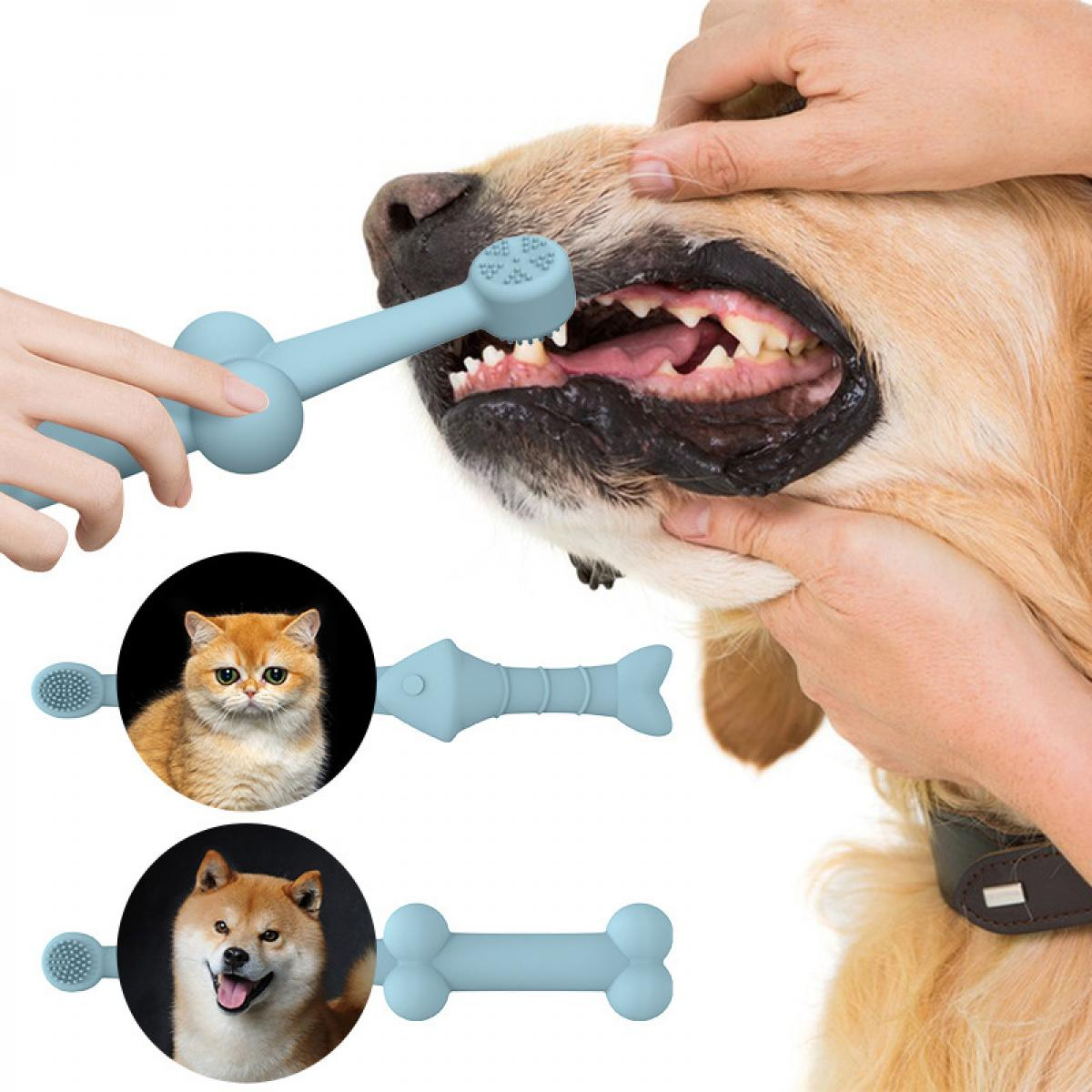 Eine Person putzt einem Hund die Zähne mit einer blauen Zahnbürste. Unten sind Katzen- und Hundespielzeuge.