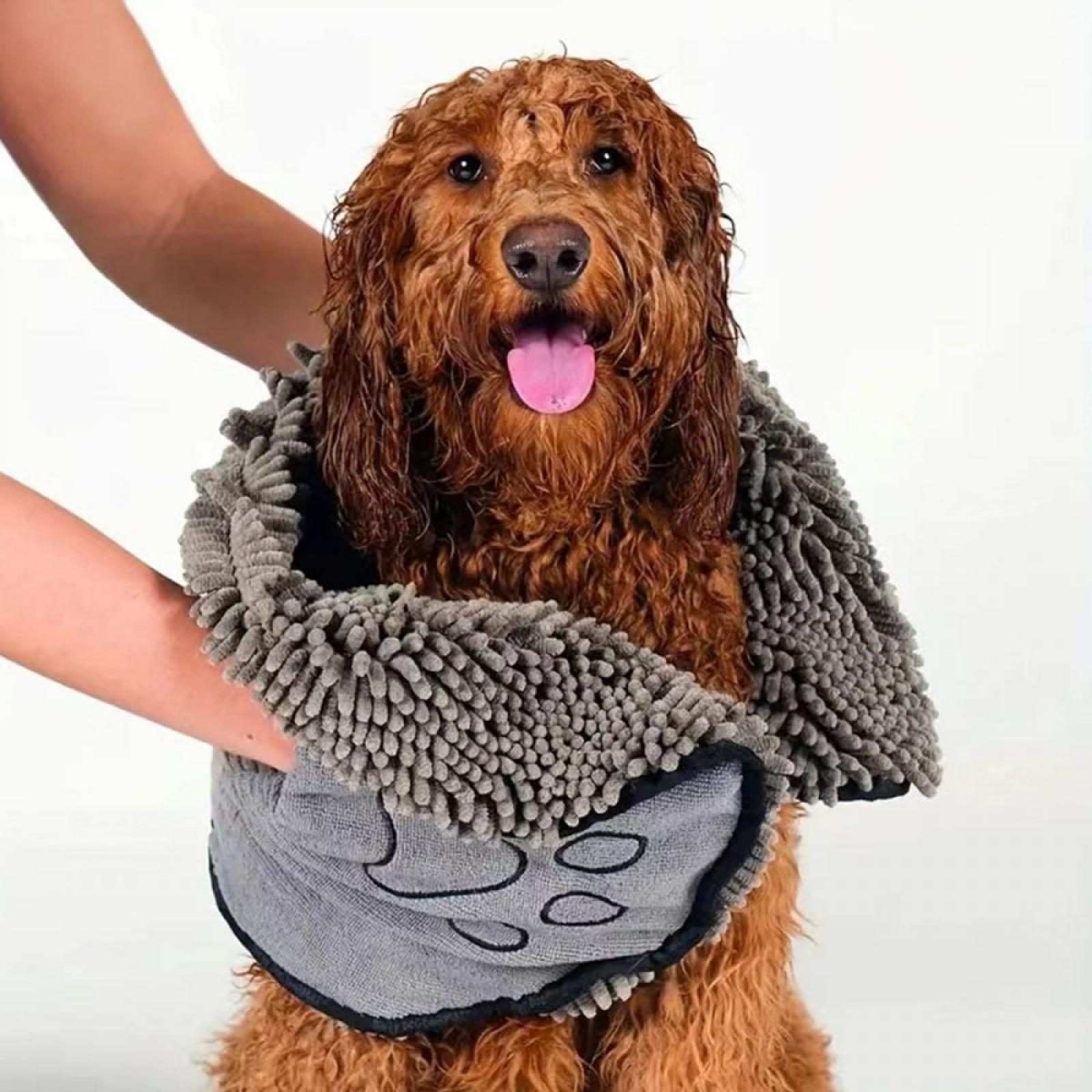 Ein nasser, brauner Hund wird mit einem grauen Handtuch getrocknet. Eine Person hält das Handtuch um den Hund.