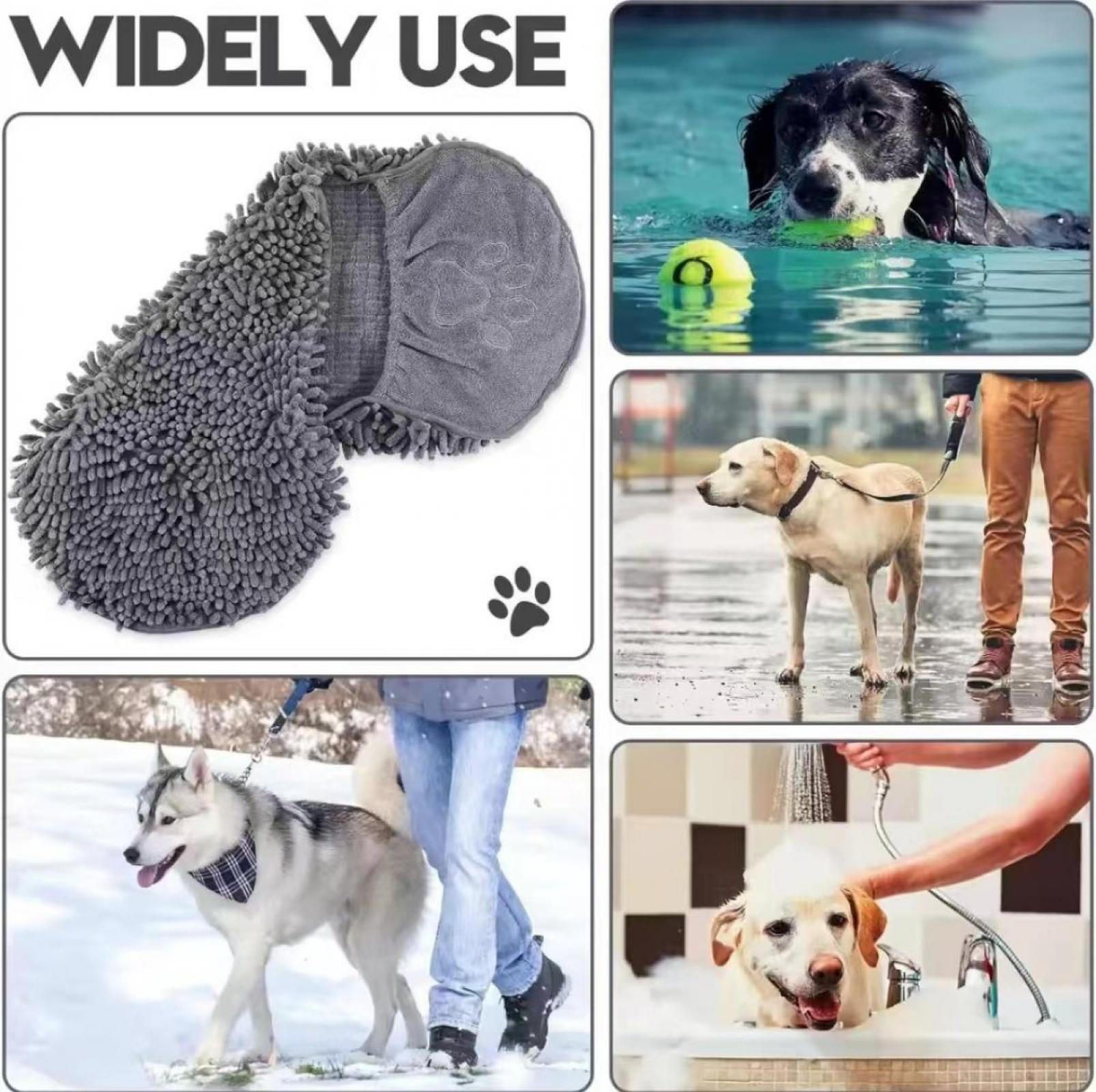 Das Bild zeigt ein Handtuch, einen schwimmenden Hund, einen Hund an der Leine, einen Hund im Schnee und einen Hund beim Baden.