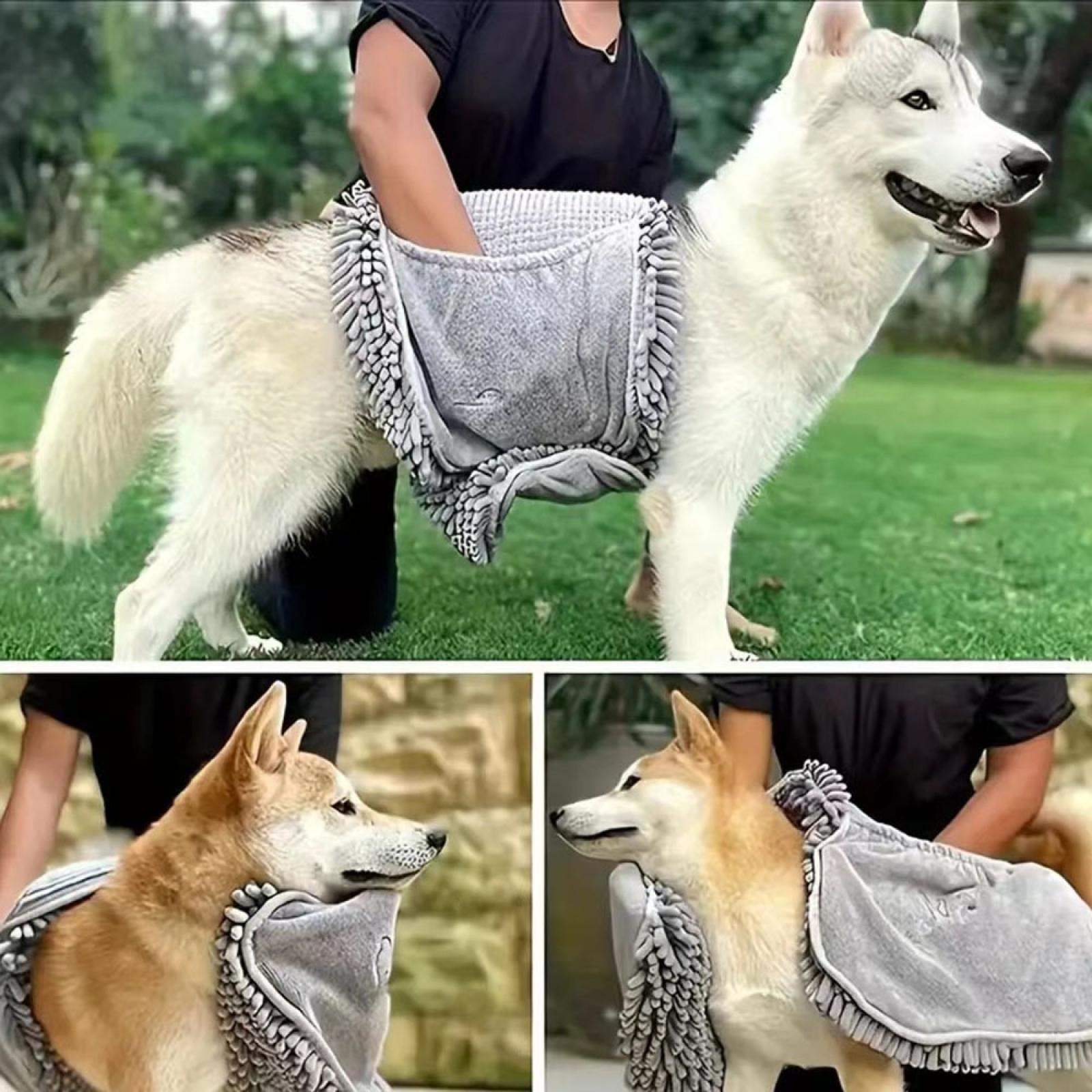 Eine Person trocknet einen weißen Hund mit einem grauen Handtuch. Zwei andere Hunde werden ebenfalls getrocknet.