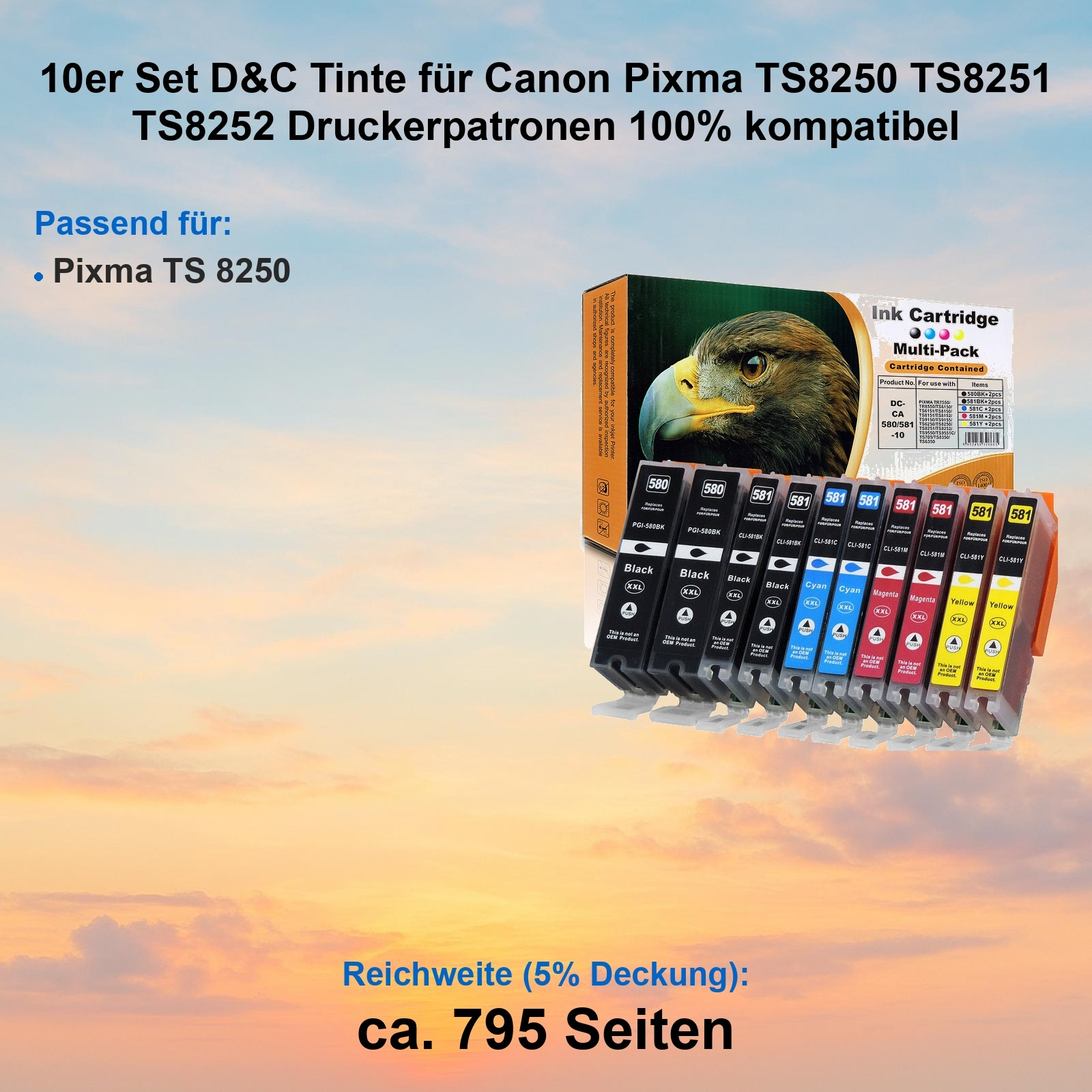 Tintenpatronen für Canon-Drucker. Schwarze, cyanfarbene, magentafarbene und gelbe Patronen sind sichtbar.