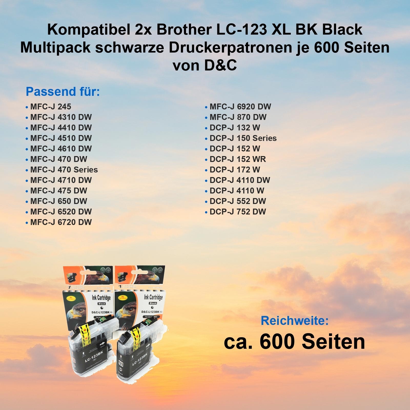 Zwei schwarze Tintenpatronen, Text: 'LC-123BK', mit einer Liste kompatibler Druckermodelle. Text: 'ca. 600 Seiten'.