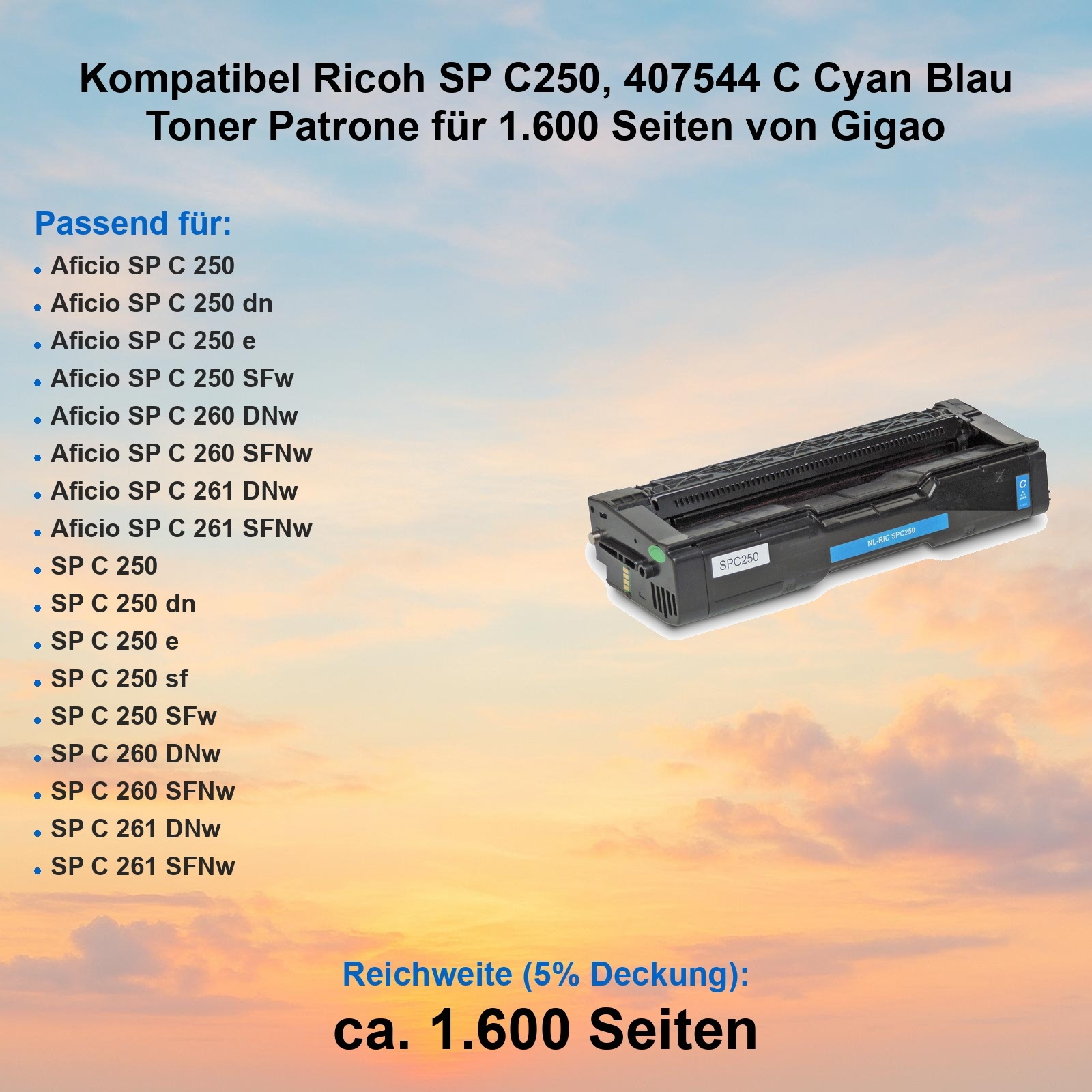 Eine schwarze Tonerkartusche mit blauen Akzenten, beschriftet mit 'SPC250', für Ricoh-Drucker, vor Himmelsgrund.