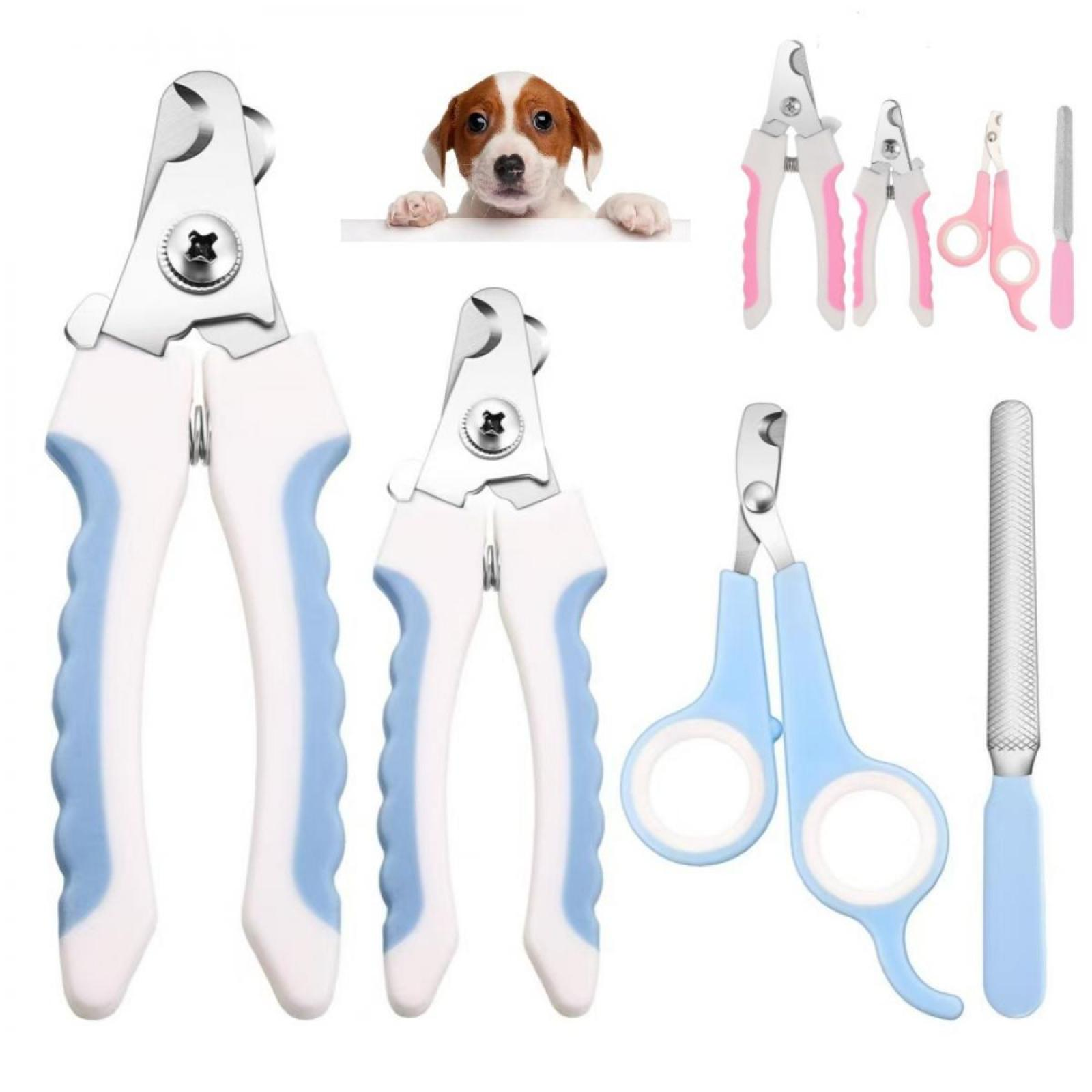 Hunde-Pflege-Werkzeuge: Scheren, Scheren und eine Nagelfeile. Ein Welpe lugt hervor. Verschiedene Farben sind sichtbar.