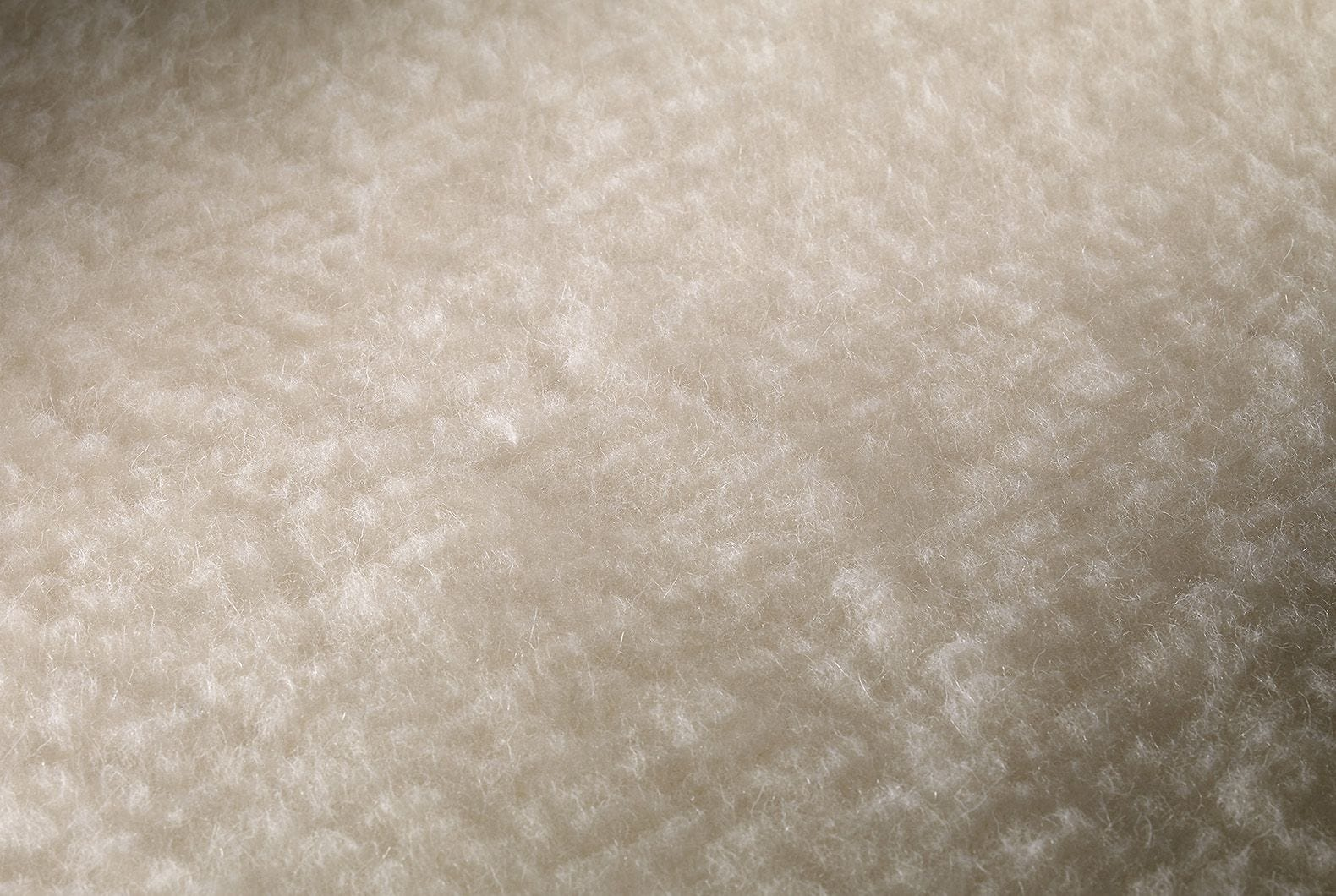 Primer plano de una superficie suave, blanquecina y texturizada. Parece un material esponjoso, posiblemente tela o piel.