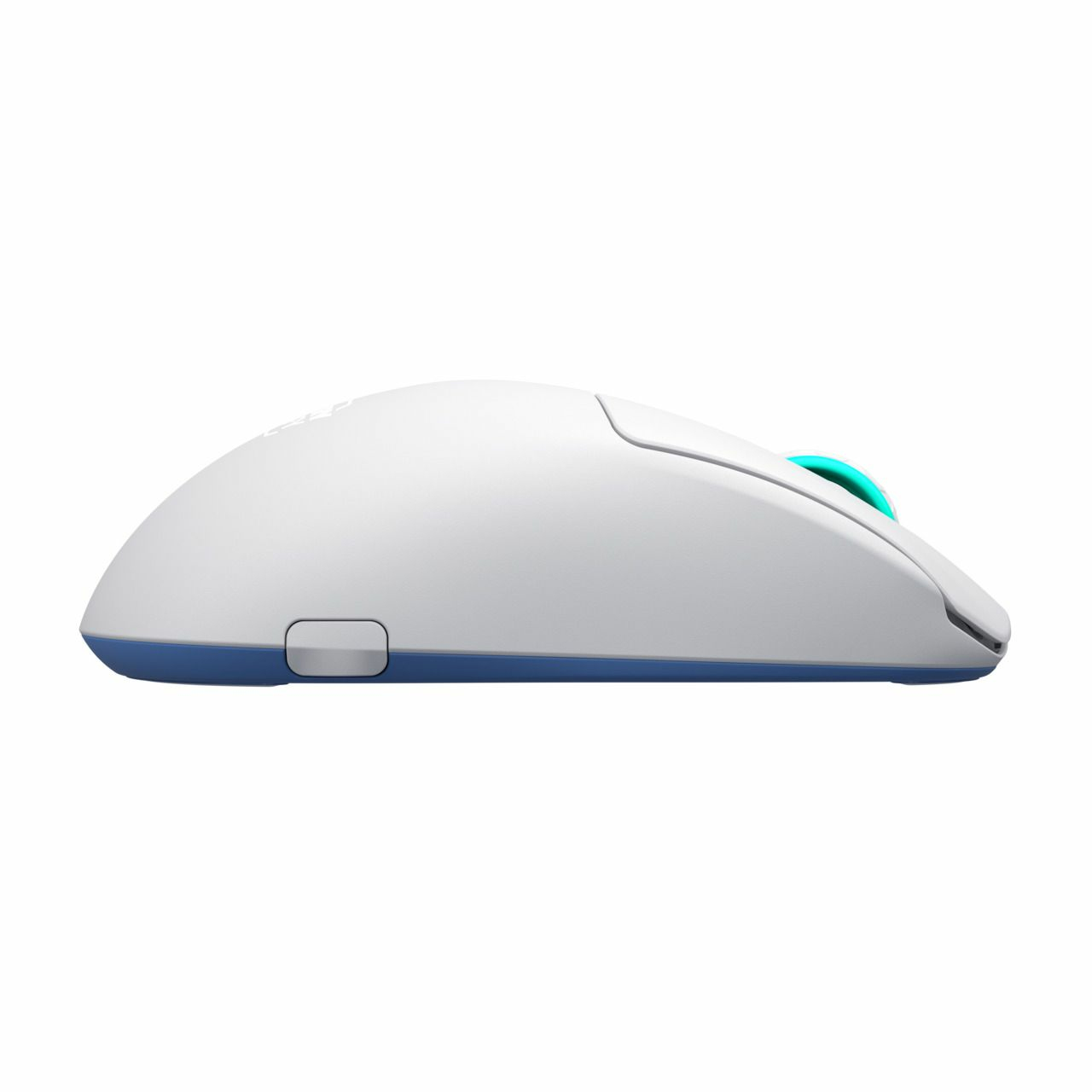 Een witte computermuis, met een blauwe onderkant en een turquoise scrollwiel. De muis wordt van opzij gezien, geïsoleerd op een witte achtergrond.