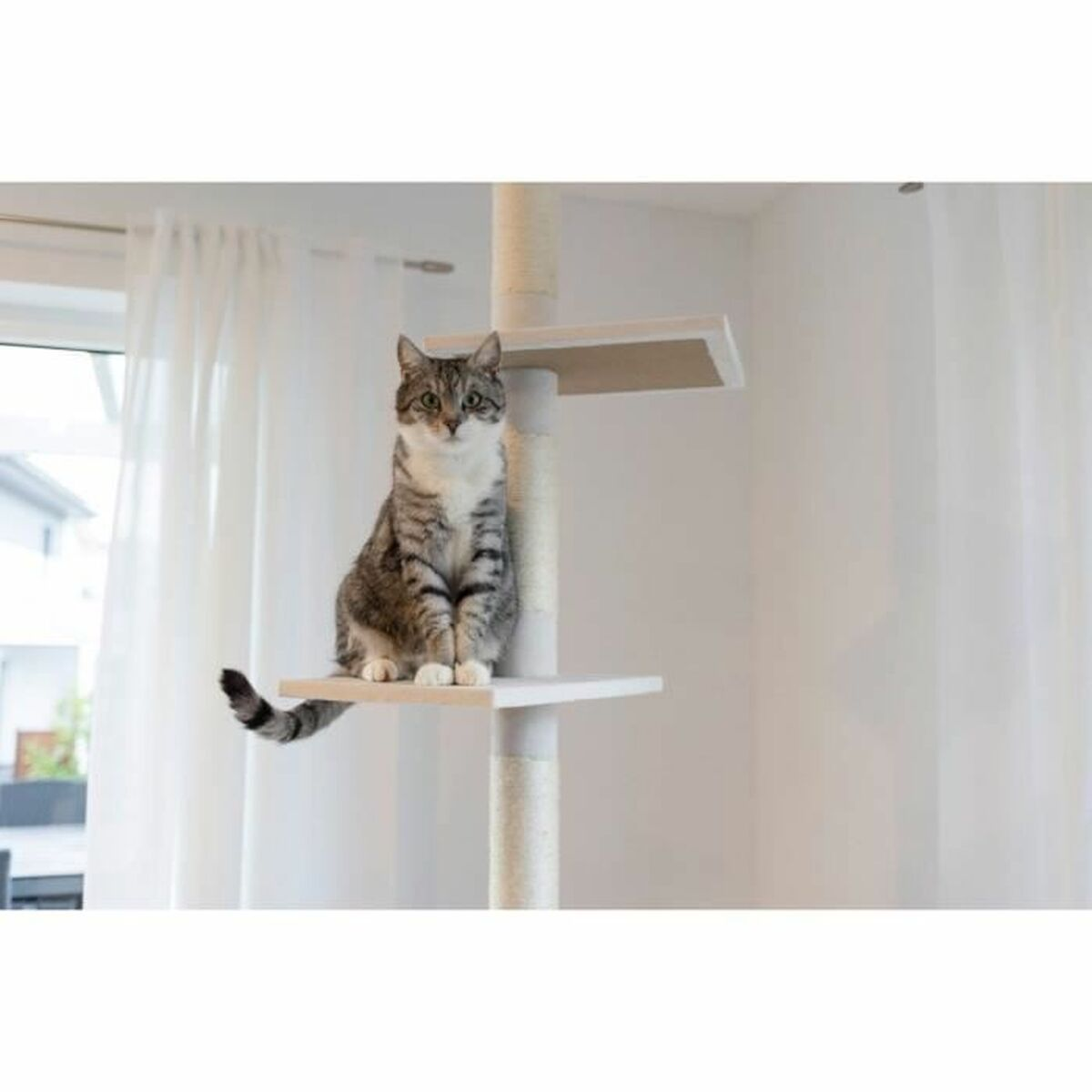 Eine getigerte Katze sitzt auf einem Kratzbaum. Die Katze hat graue Streifen. Der Kratzbaum ist weiß. Weiße Vorhänge sind im Hintergrund.