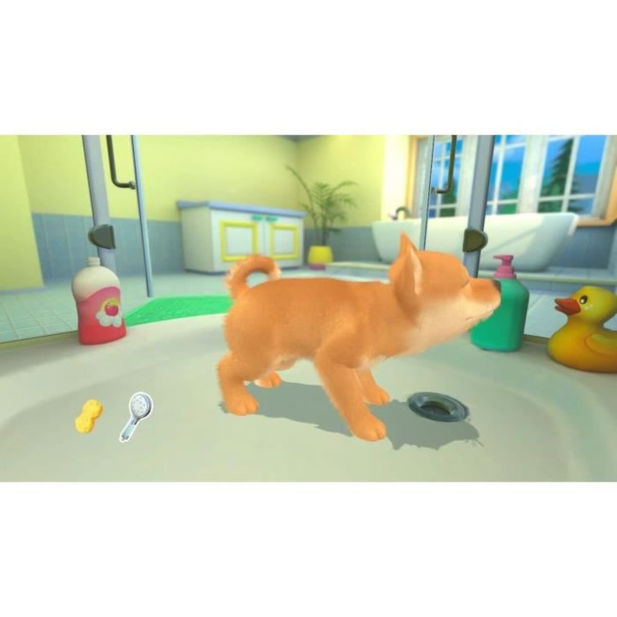 Ein orangefarbener Chihuahua in einer Badewanne, nach rechts blickend. Seife, Duschkopf und eine gelbe Quietscheente sind in der Nähe. Der Hintergrund zeigt ein Badezimmer.