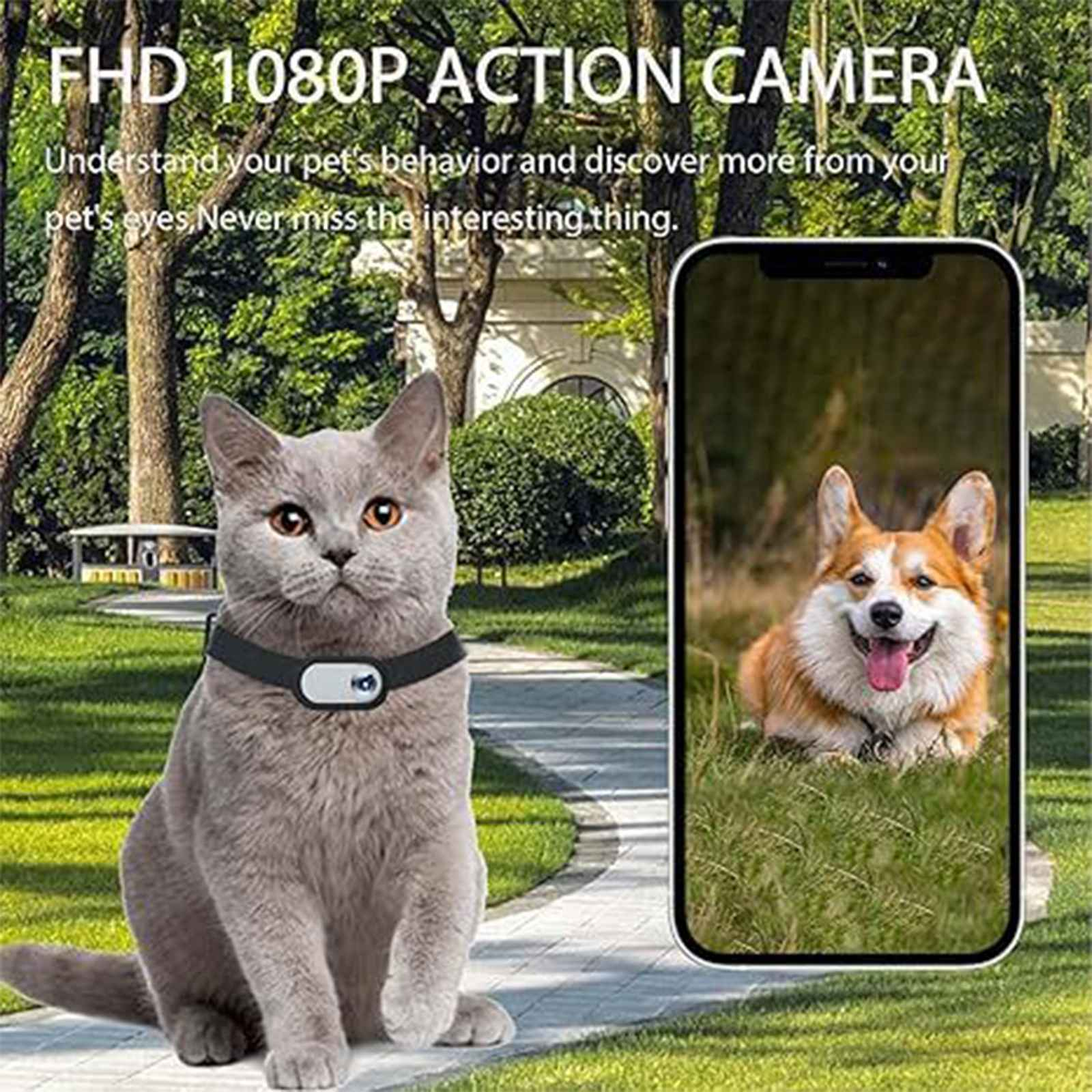 Eine graue Katze mit Halsband neben einem Telefon, das einen Corgi zeigt. Text: FHD 1080P ACTION CAMERA.