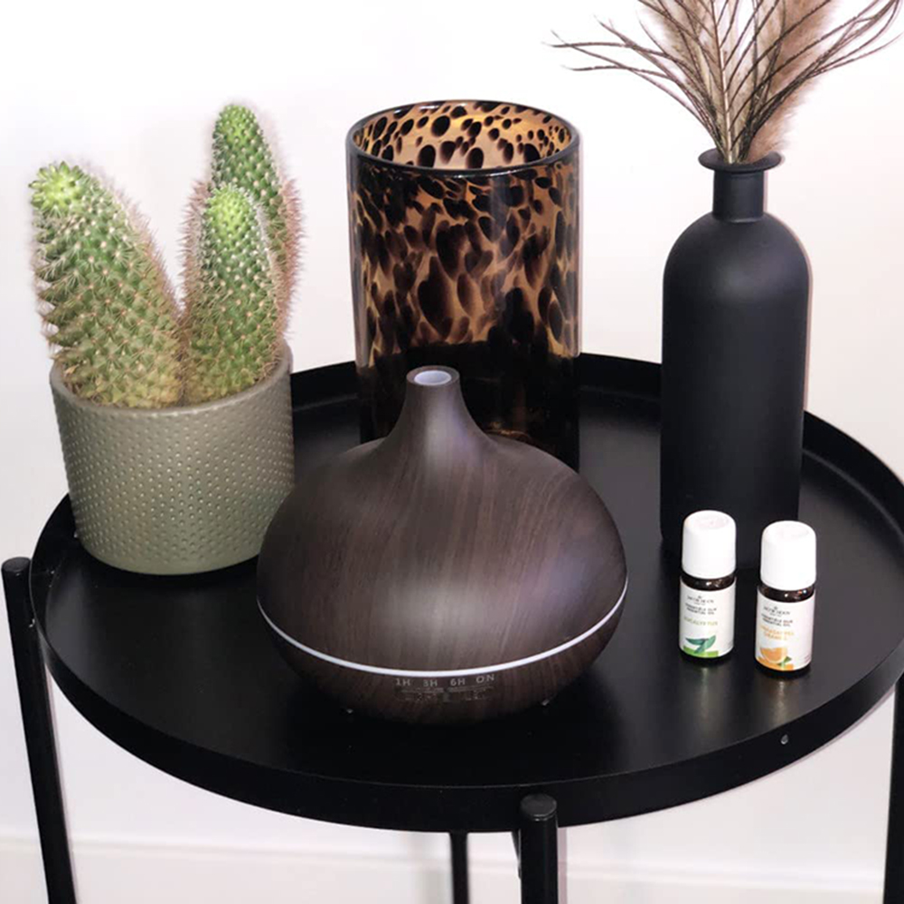 Ein schwarzer Tisch mit Kaktus, gemusterter Vase, Diffusor, schwarzer Vase mit Federn und zwei kleinen Flaschen.