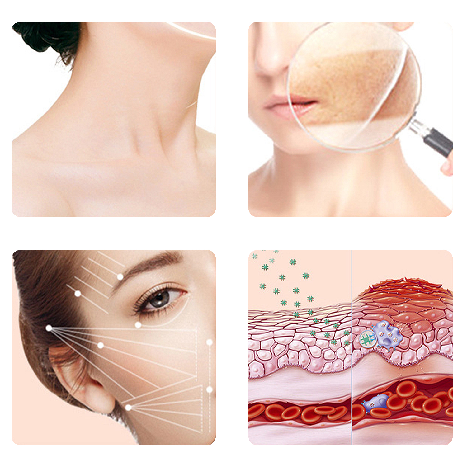 L'immagine mostra quattro sezioni che illustrano la cura della pelle. Include un collo, una vista ingrandita della pelle, un occhio con linee e strati cutanei.
