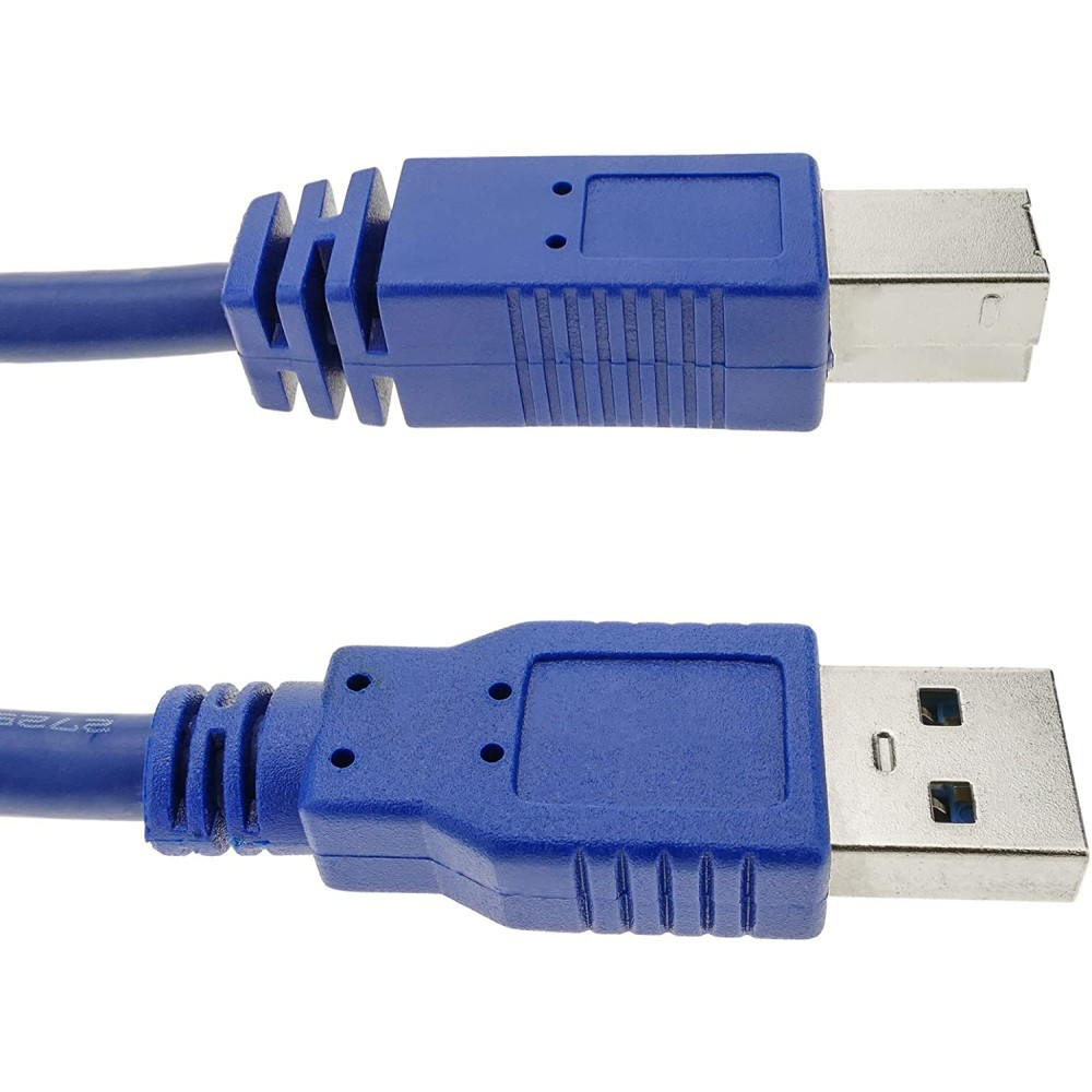 Sono mostrati due cavi USB blu con connettori argentati. Uno è sopra l'altro, su sfondo bianco.