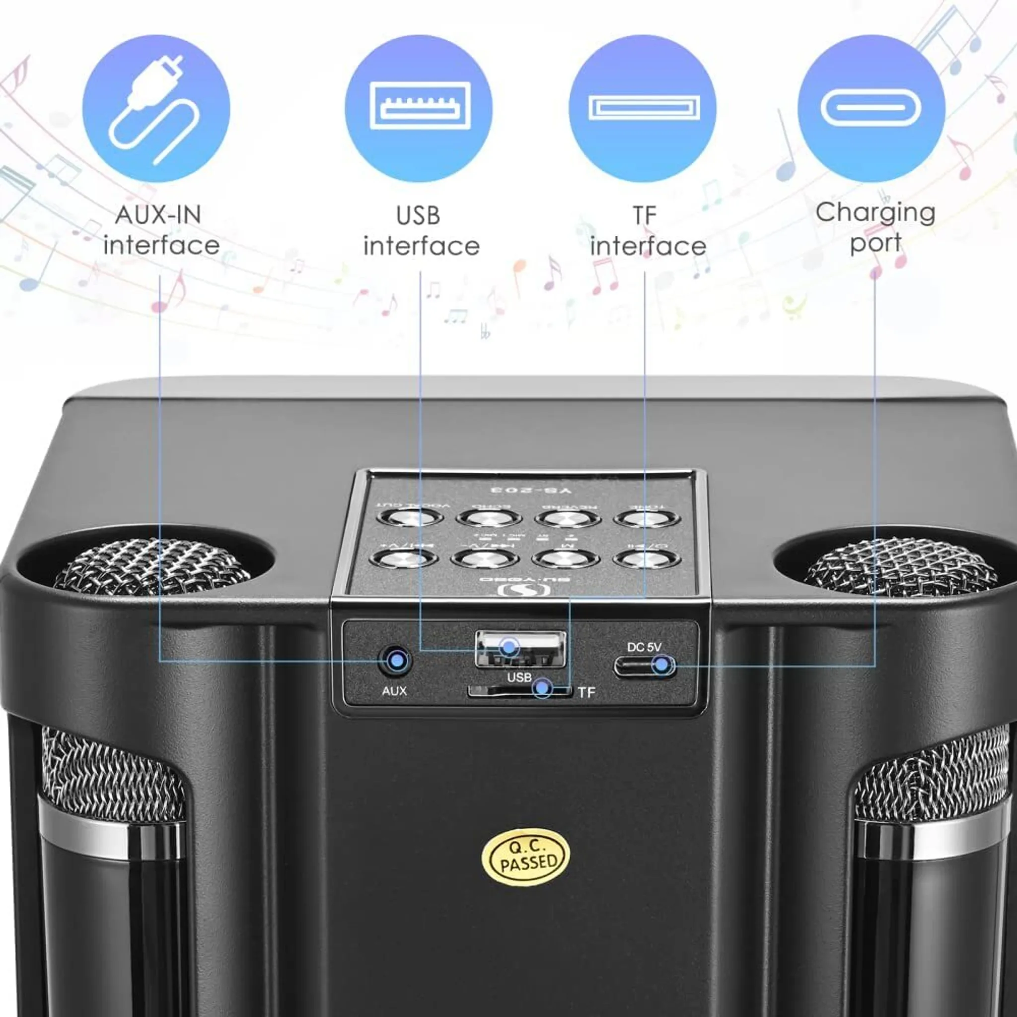 Schwarzer Lautsprecher mit AUX-, USB-, TF- und Ladeanschlüssen. Enthält zwei Mikrofonhalter und ein Bedienfeld.