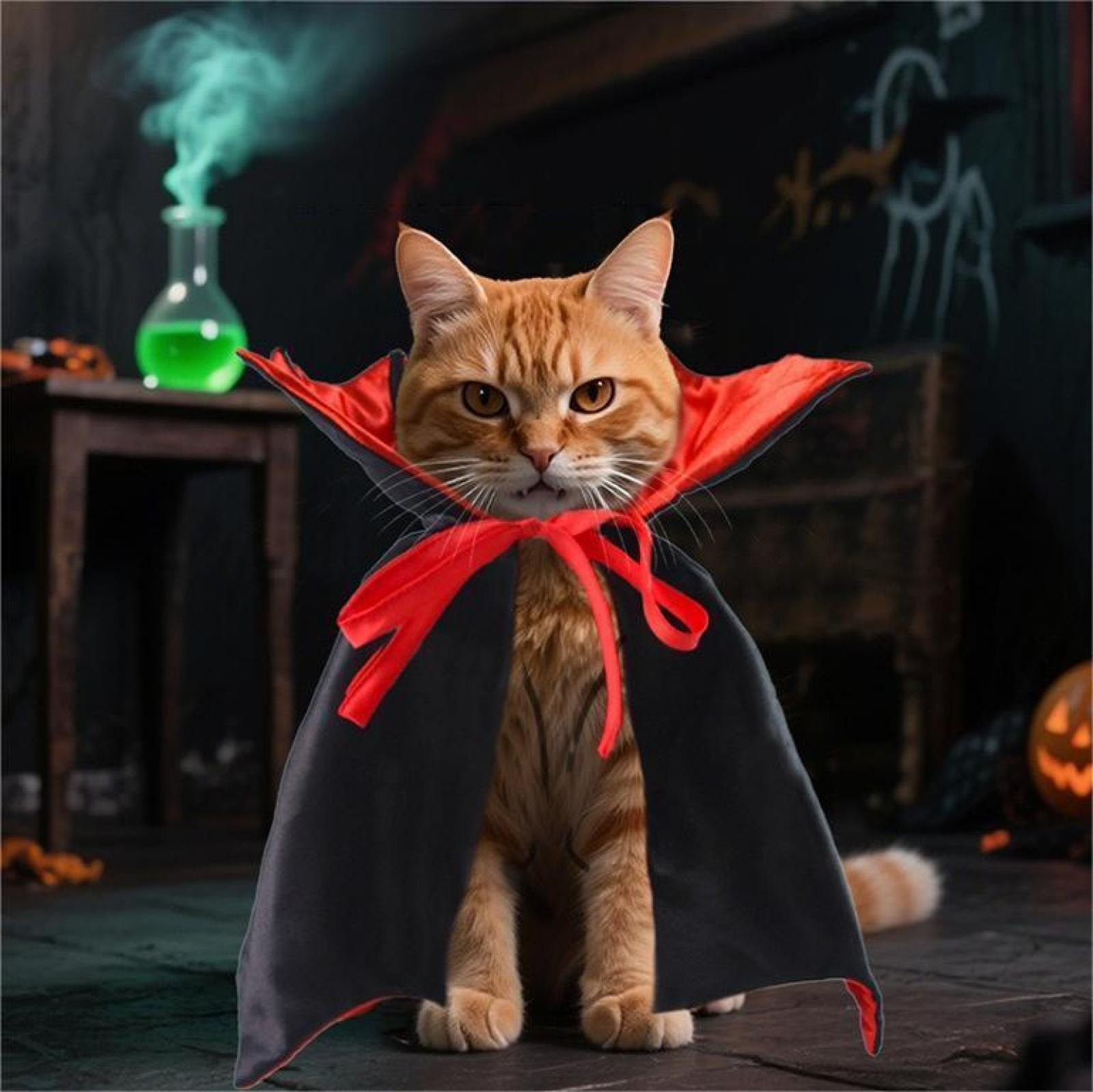 Eine orange Katze in einem Vampirumhang, Halloween-Thema, mit einer Zaubertrankflasche und Kürbis im Hintergrund.