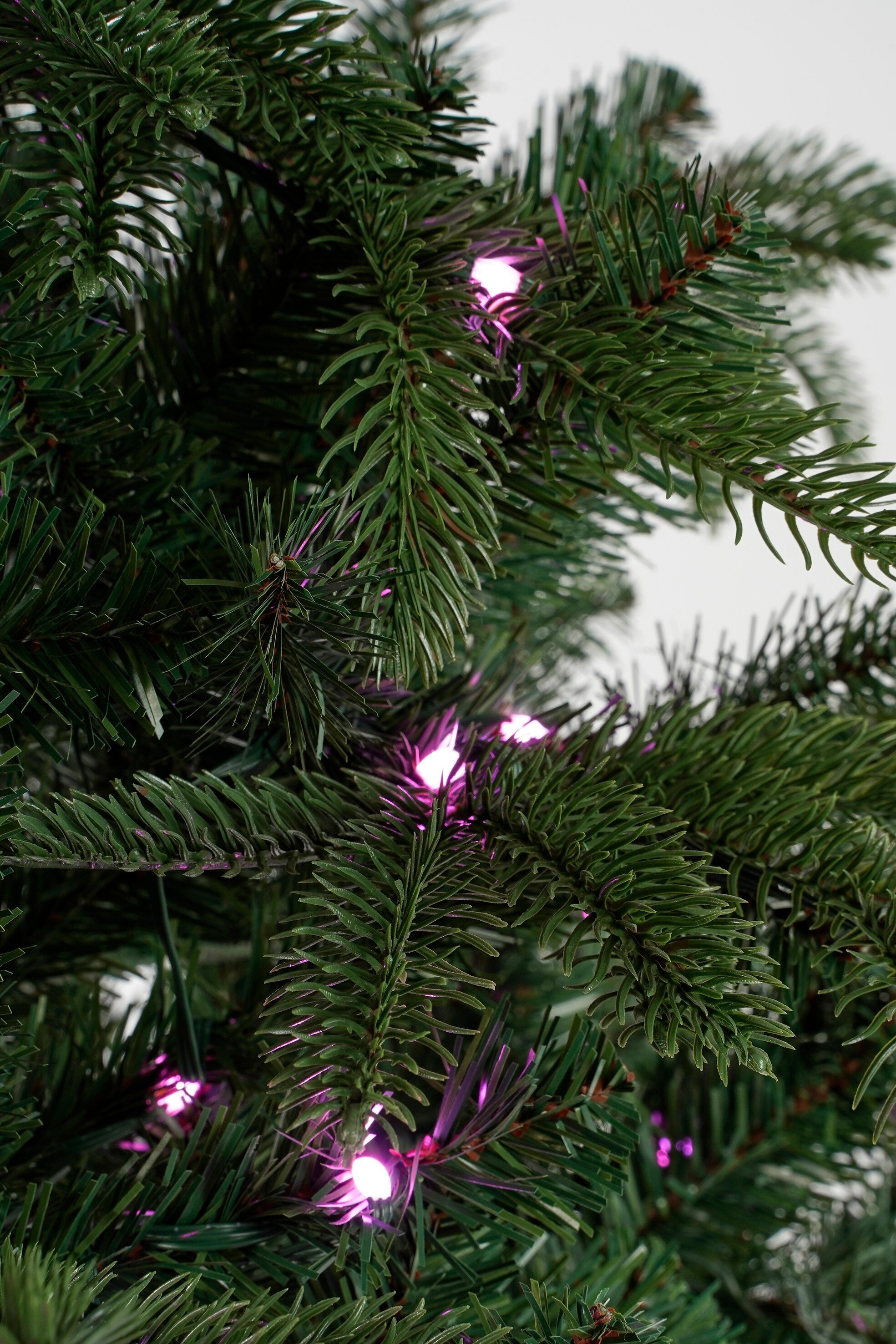 Gros plan sur un arbre de Noël avec des aiguilles vertes et de petites lumières roses. Fond blanc.