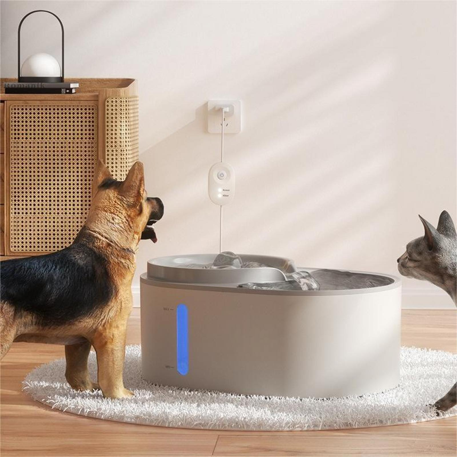 Ein Hund und eine Katze betrachten einen Wasserbrunnen. Der Brunnen ist weiß, der Boden hat einen Teppich.