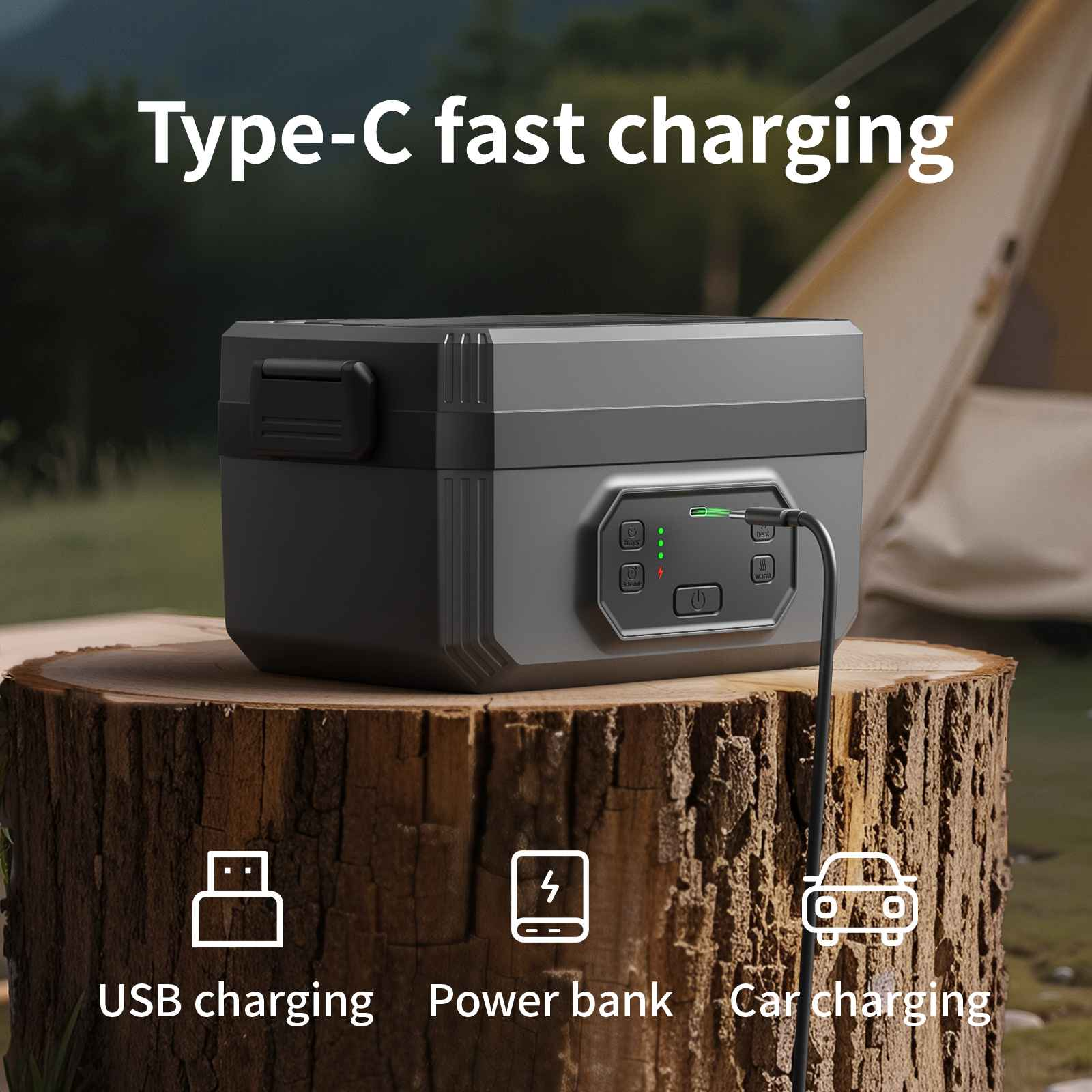 Eine graue Powerbank mit Typ-C-Schnellladung, USB-Laden, Autoladen und Powerbank-Funktionen auf einem Holzstumpf.