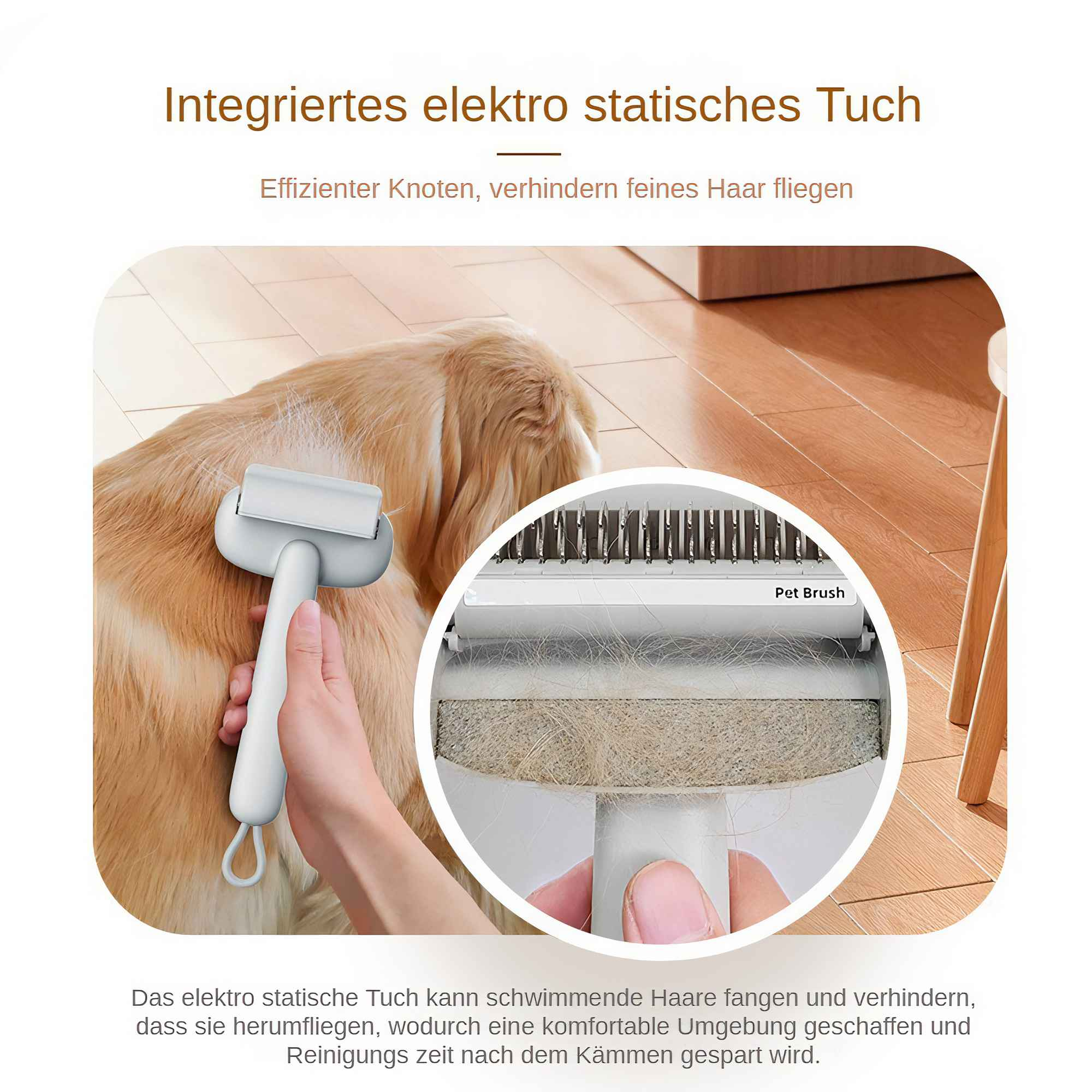 Hand hält weiße Haustierbürste auf Golden Retriever. Die Bürste sammelt Haare. Ein kreisförmiger Einsatz zeigt die Bürste.