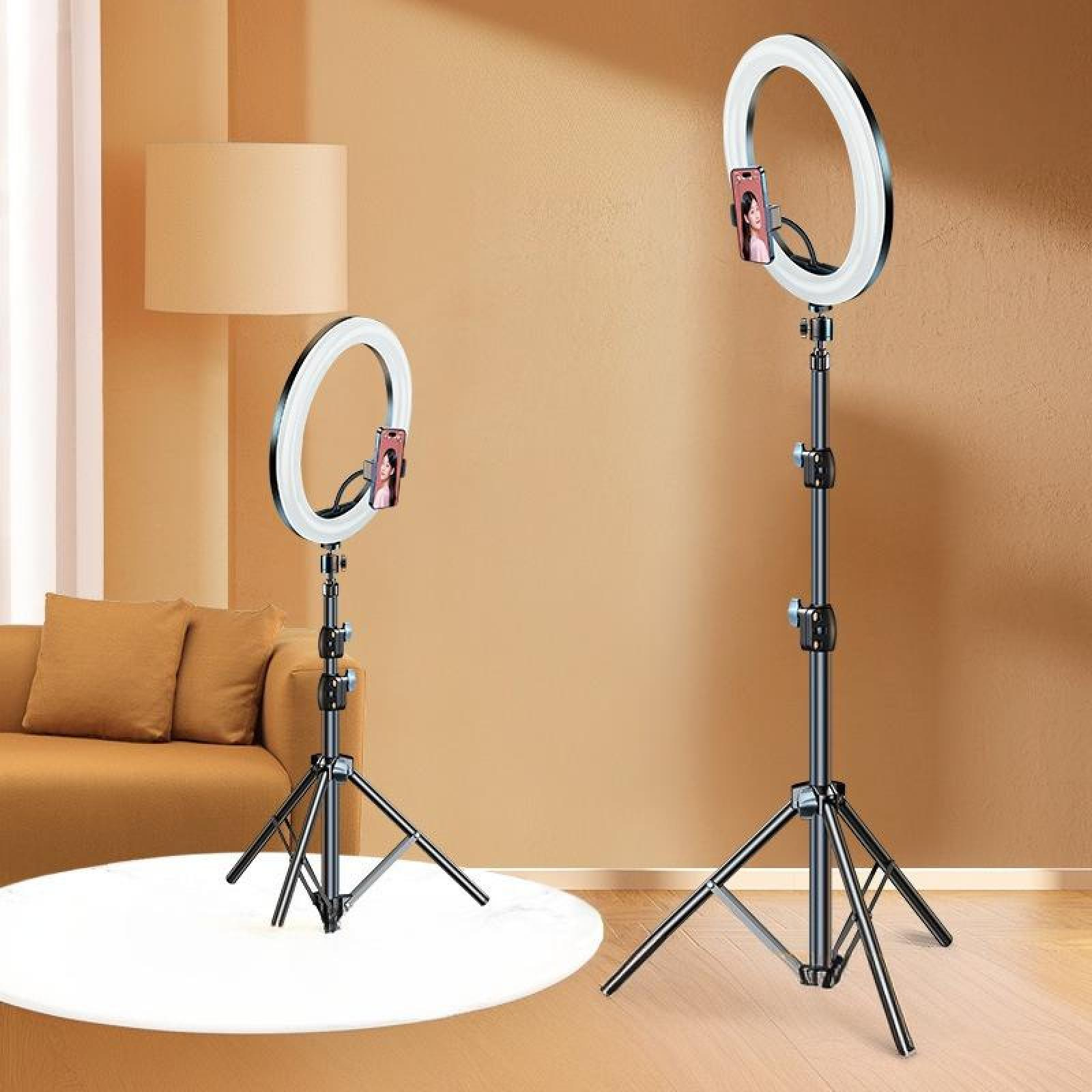 Zwei Ringlichter mit befestigten Telefonen stehen auf Stativen. Im Hintergrund sind ein Sofa und eine Lampe zu sehen. Der Hintergrund ist braun.