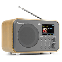 MediaMarkt AUDIZIO Milan DAB radio Lichtbruin aanbieding
