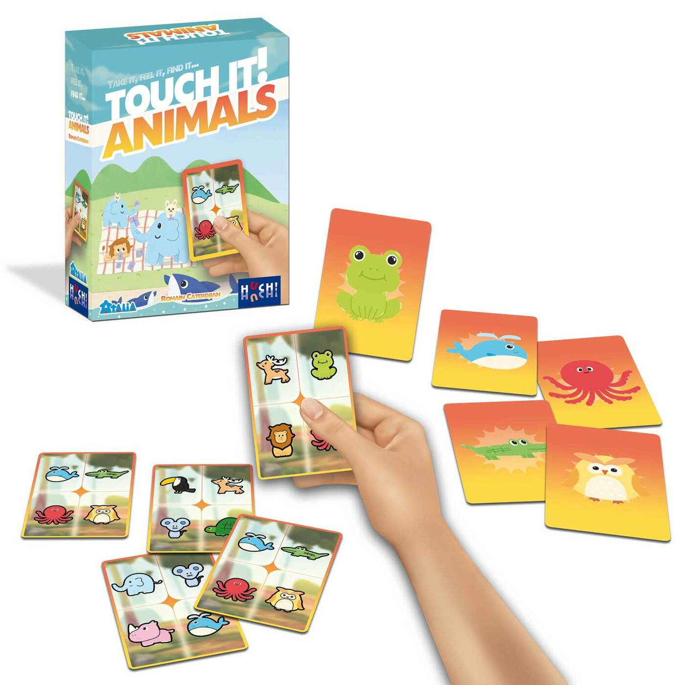 Une main tient une carte du jeu 'Touch It! Animals'. Diverses cartes d'animaux sont éparpillées, et une boîte de jeu est visible.