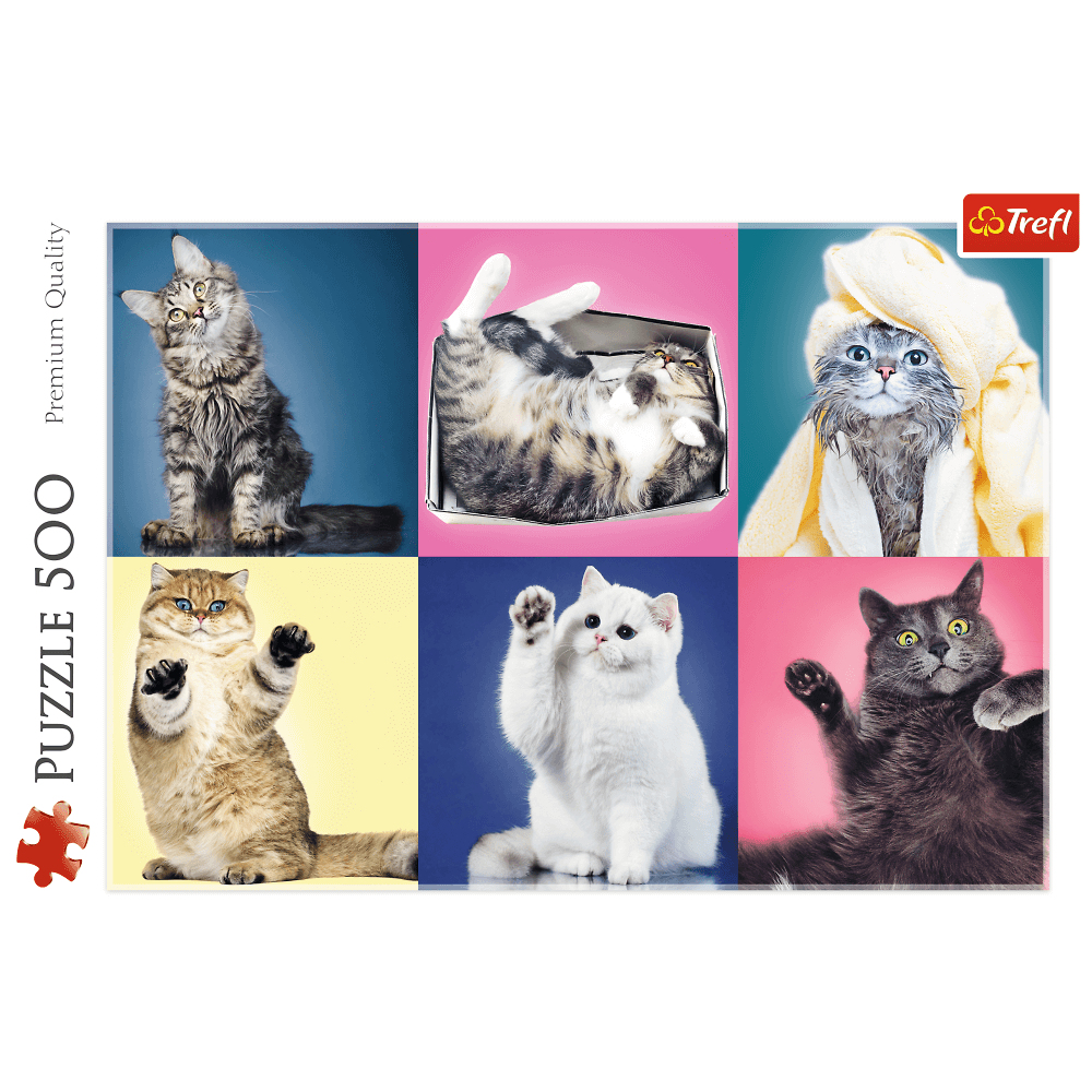 Un rompecabezas muestra seis fotos de gatos: gris, acostado en caja, mojado con toalla, dorado, blanco saludando y gris con mirada sorpresa.