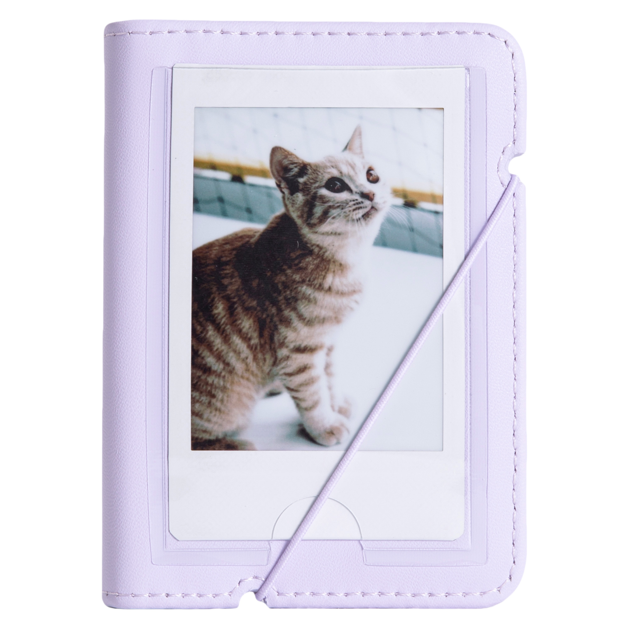 Lila bir fotoğraf albümünün içindeki bir kedinin fotoğrafı. Kedi yukarı bakıyor. Albümün lastik bir bandı var.