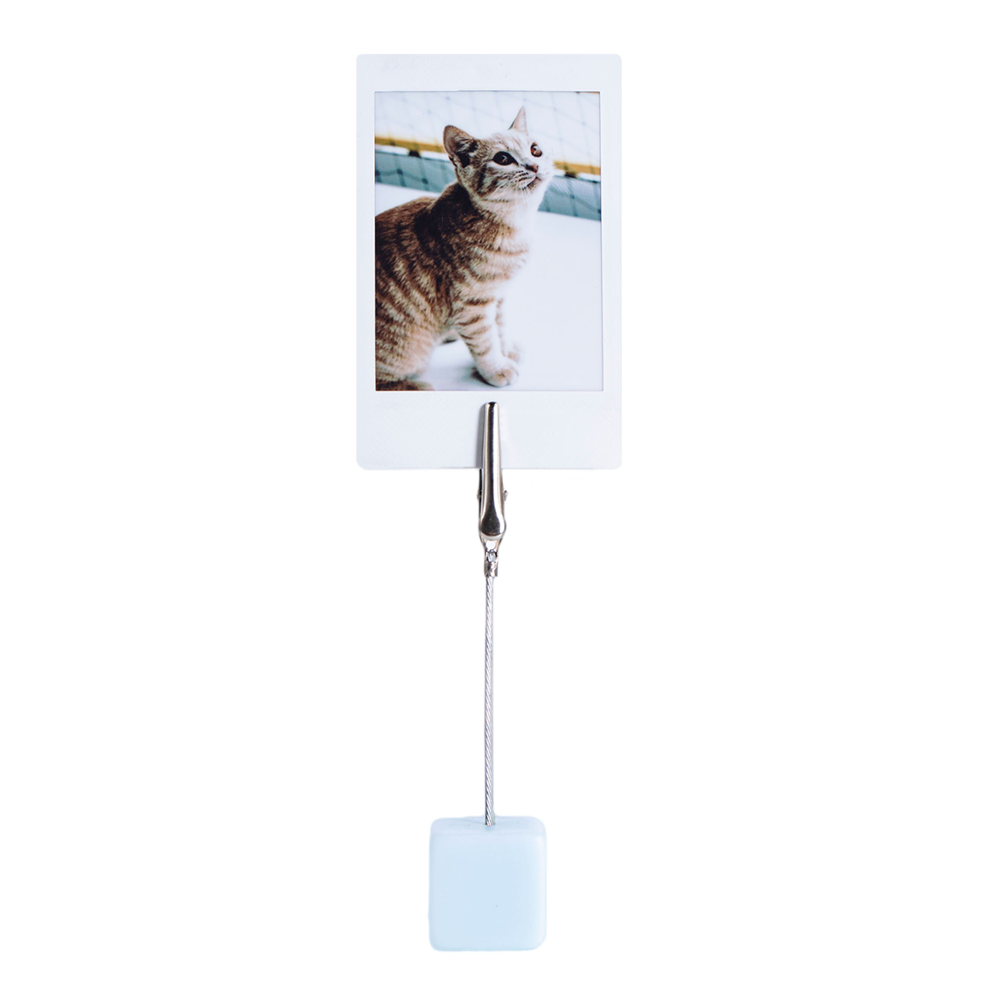 Beyaz çerçevedeki bir kedi fotoğrafı, metal klips ve tel ile tutuluyor, açık mavi küp üzerinde.