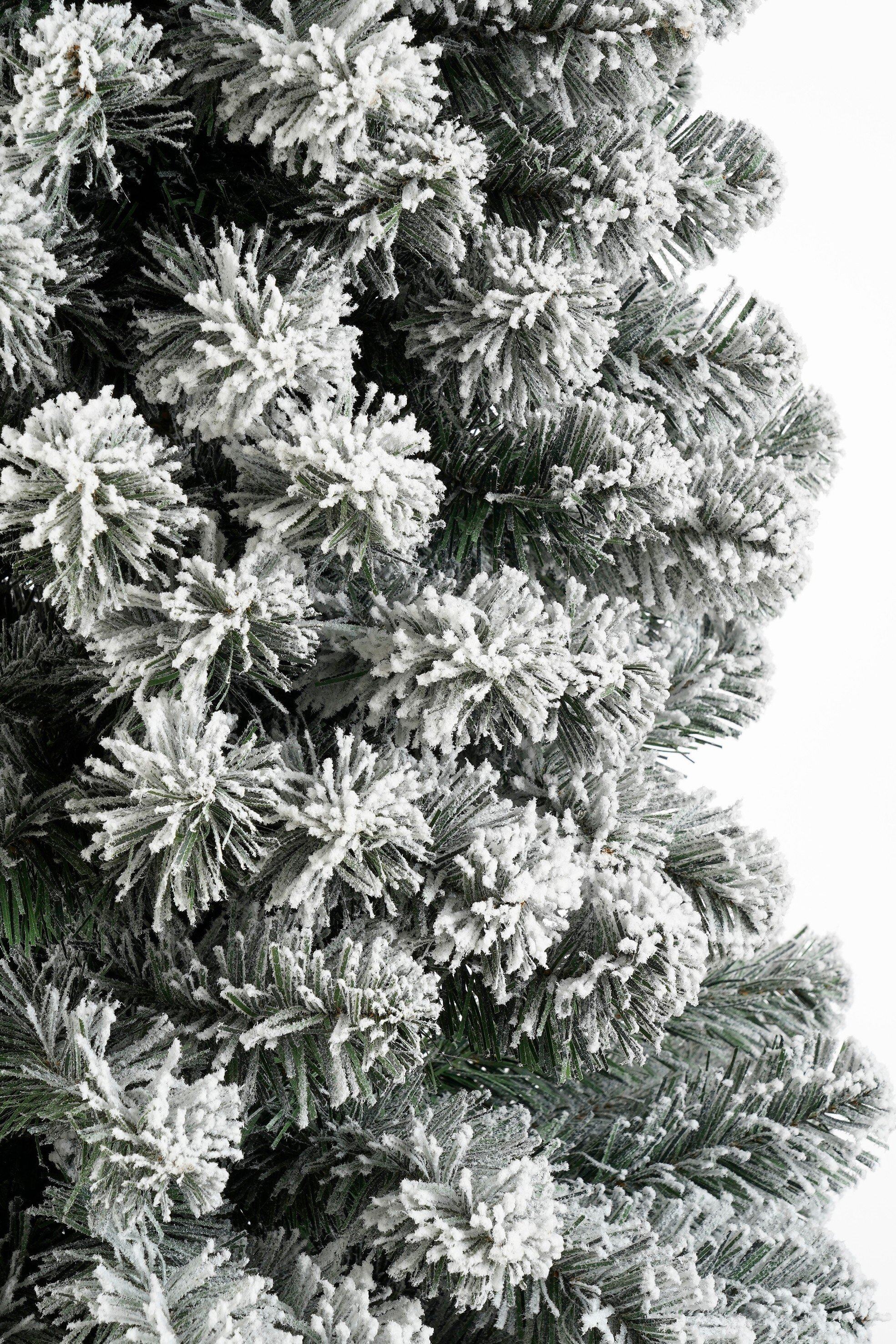 Gros plan sur un sapin de Noël enneigé. Les aiguilles vertes sont recouvertes de neige blanche et duveteuse.