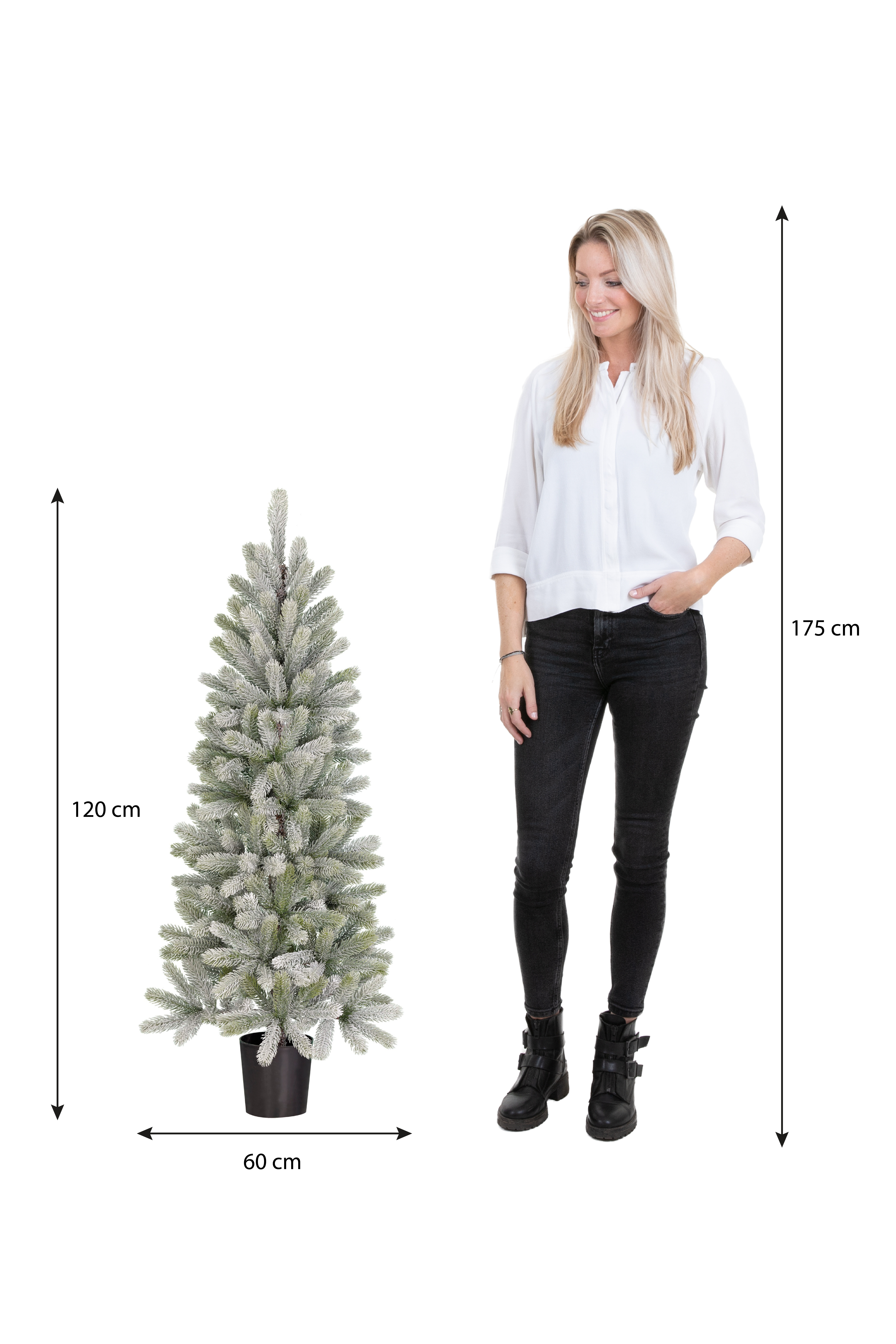 Une femme se tient près d'un sapin. L'arbre mesure 120 cm de haut et 60 cm de large. La femme mesure 175 cm.