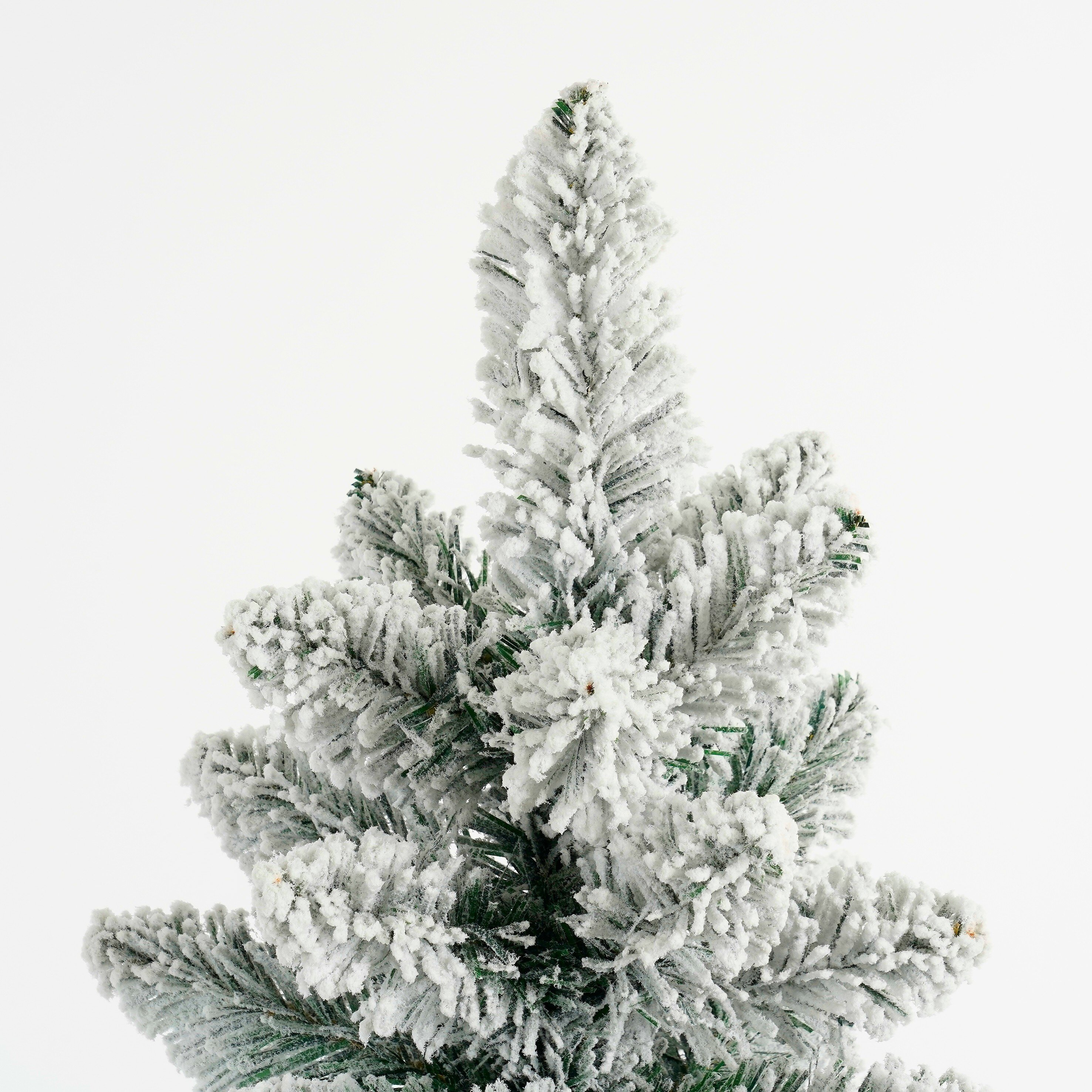 Gros plan d'un sapin de Noël enneigé sur fond blanc.
