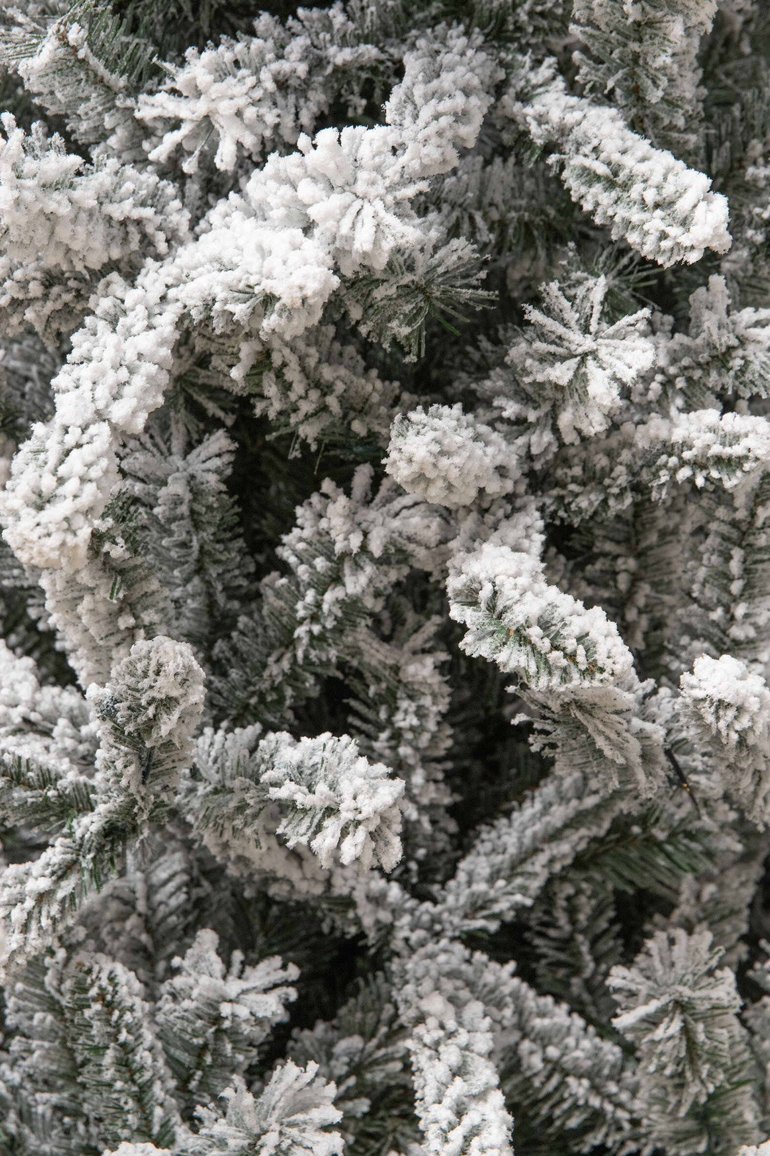 Gros plan d'un sapin de Noël enneigé. Les aiguilles vertes sont recouvertes de neige blanche et duveteuse.
