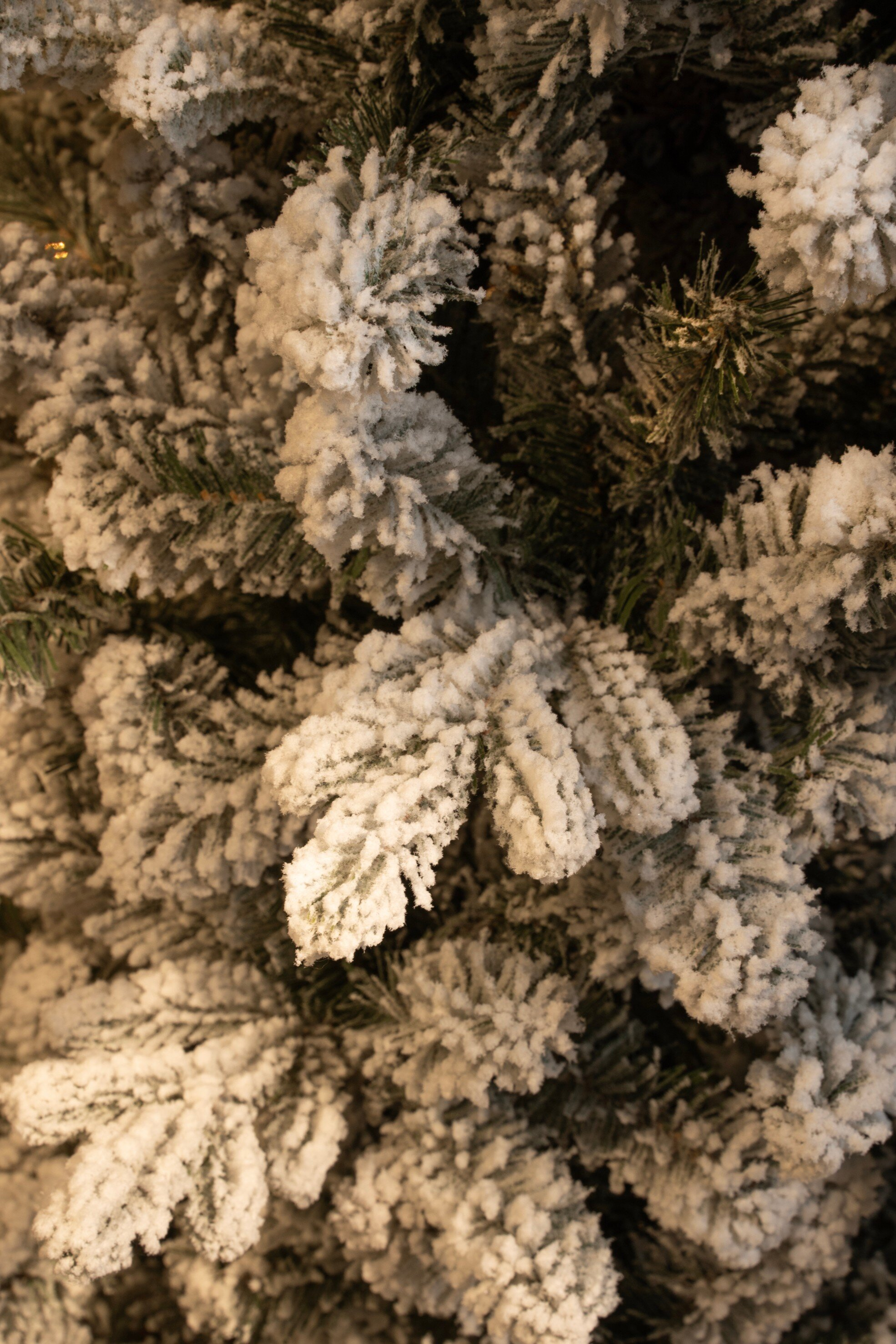 Gros plan sur un sapin de Noël enneigé. Des aiguilles vertes sont visibles, recouvertes de neige artificielle blanche et duveteuse.