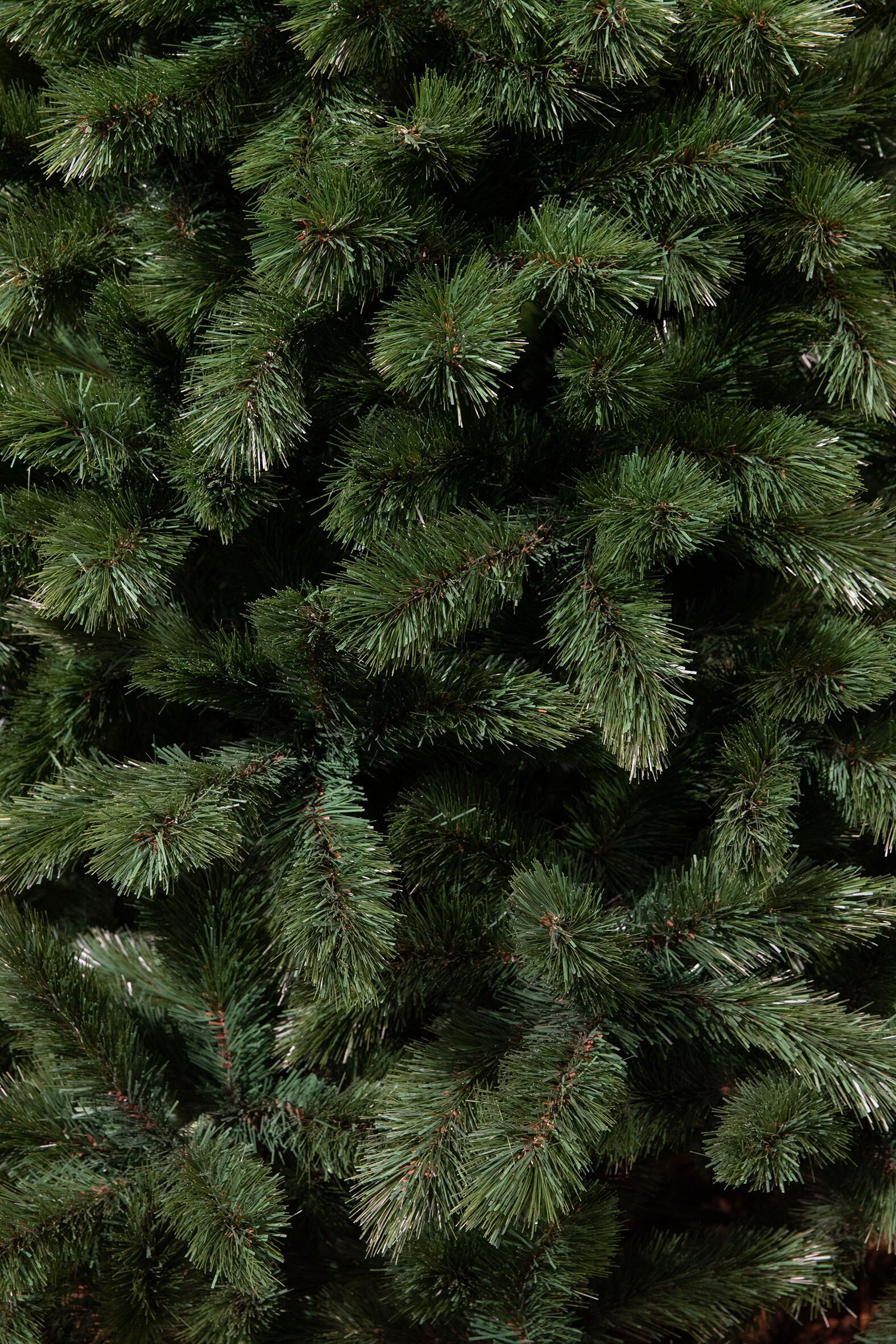 Gros plan d'un sapin de Noël vert avec des aiguilles denses et pointues, créant un motif texturé. L'arrière-plan est flou.