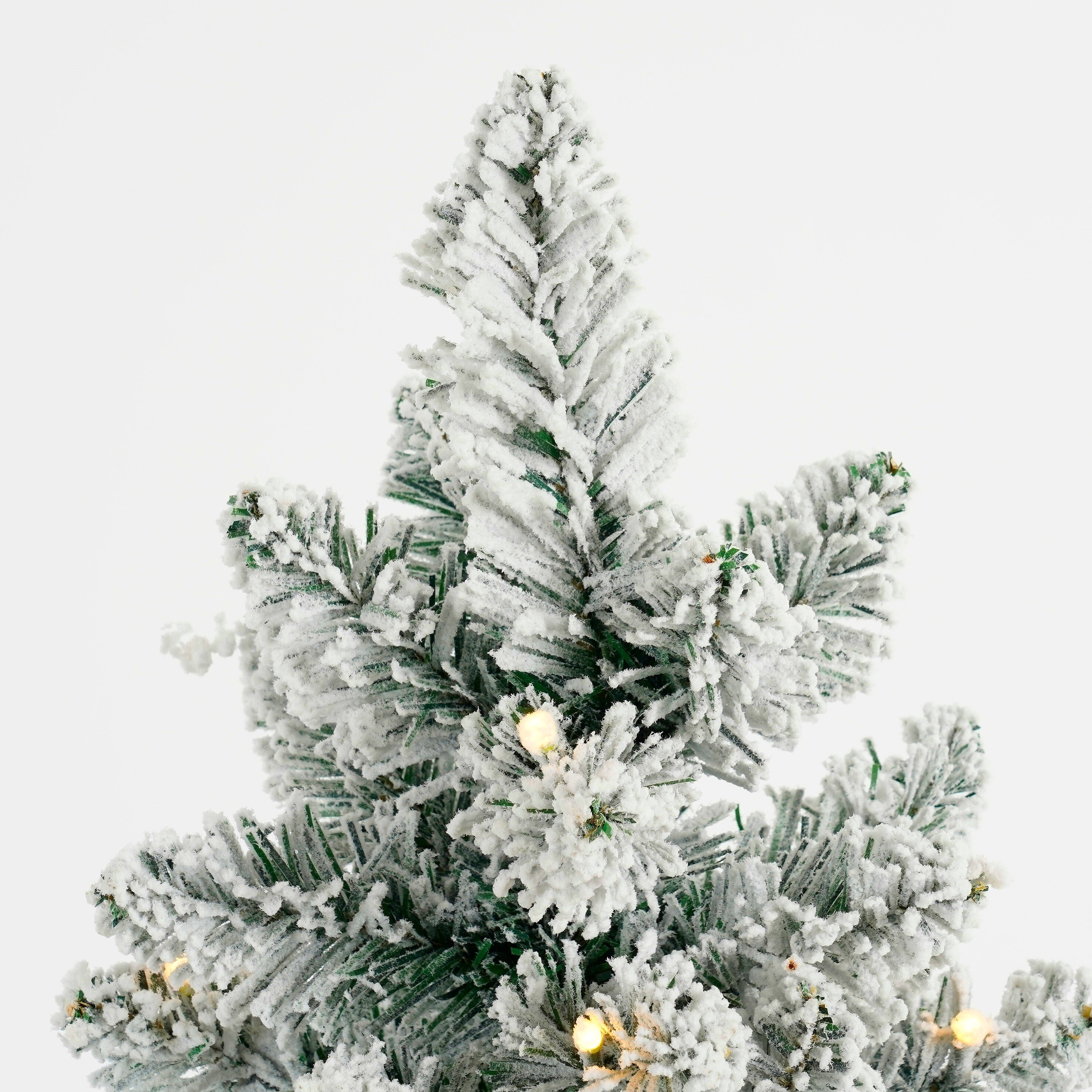 Gros plan d'un sapin de Noël enneigé avec des lumières sur fond blanc.