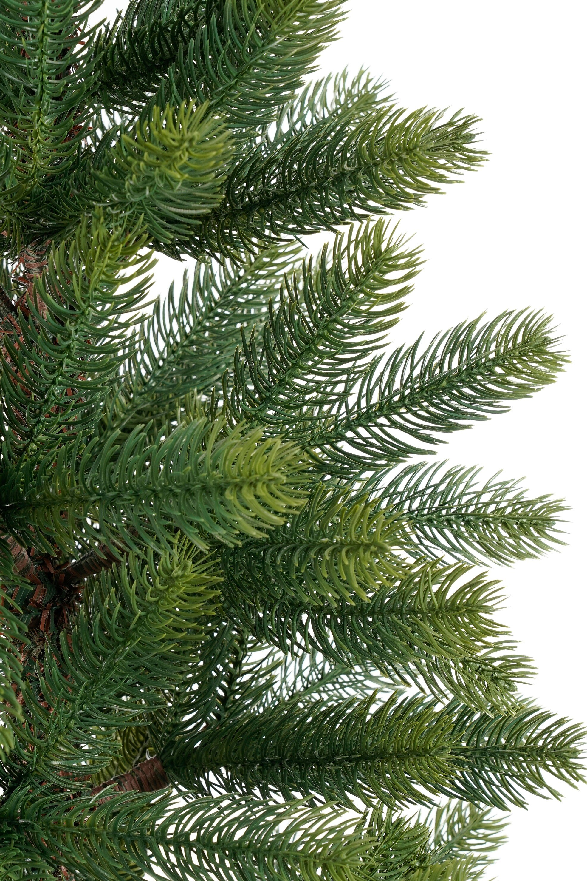 Gros plan d'une branche verte de sapin de Noël sur fond blanc.