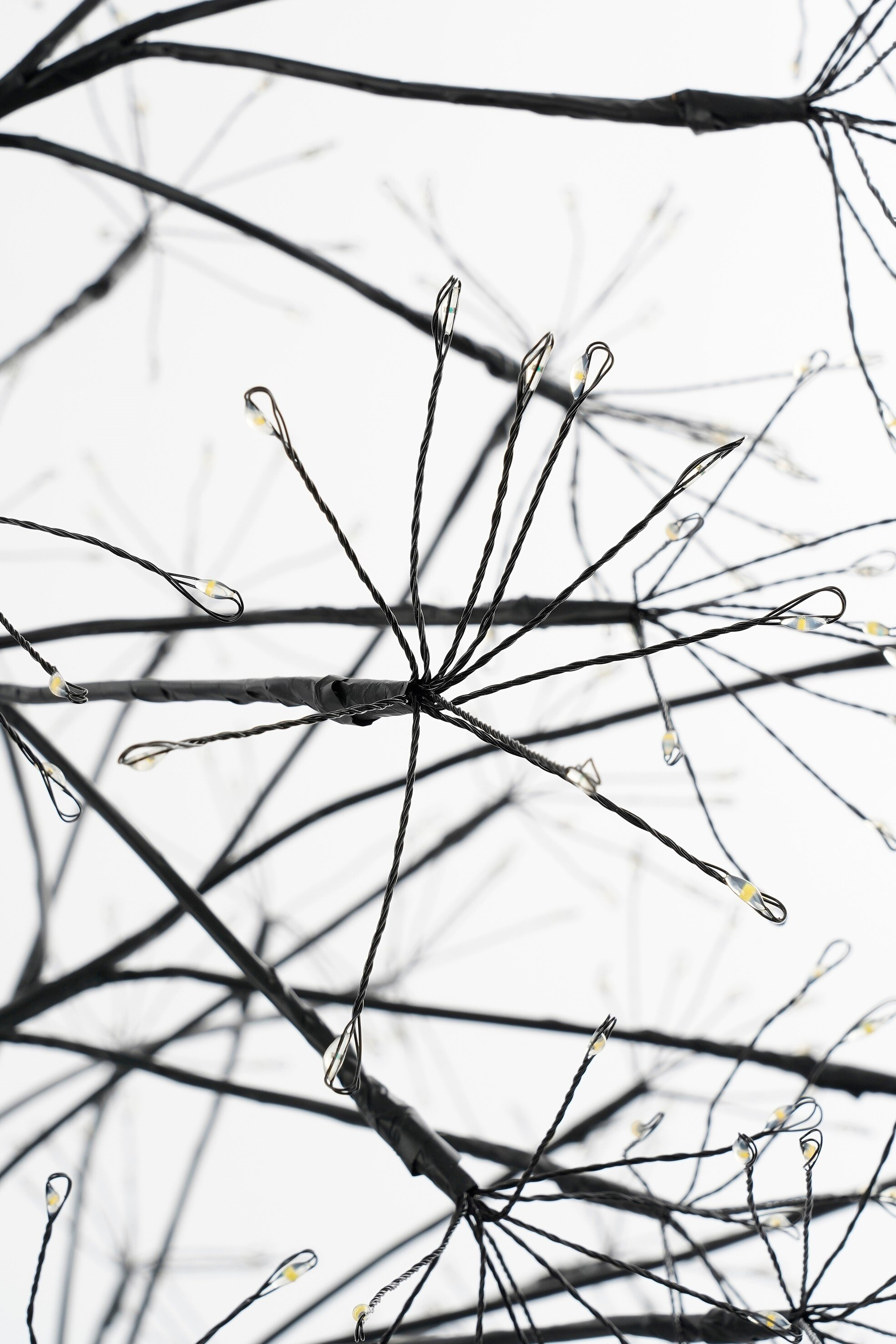 Gros plan d'un arbre décoratif avec des branches noires et de petites lumières sur fond blanc.