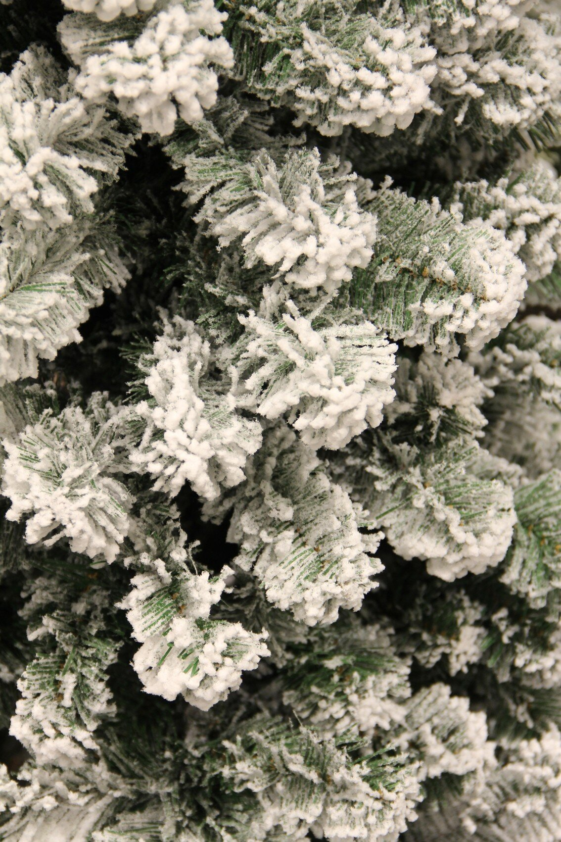 Gros plan sur un sapin de Noël enneigé. Des aiguilles vertes sont visibles, avec de la neige blanche et duveteuse recouvrant les branches.