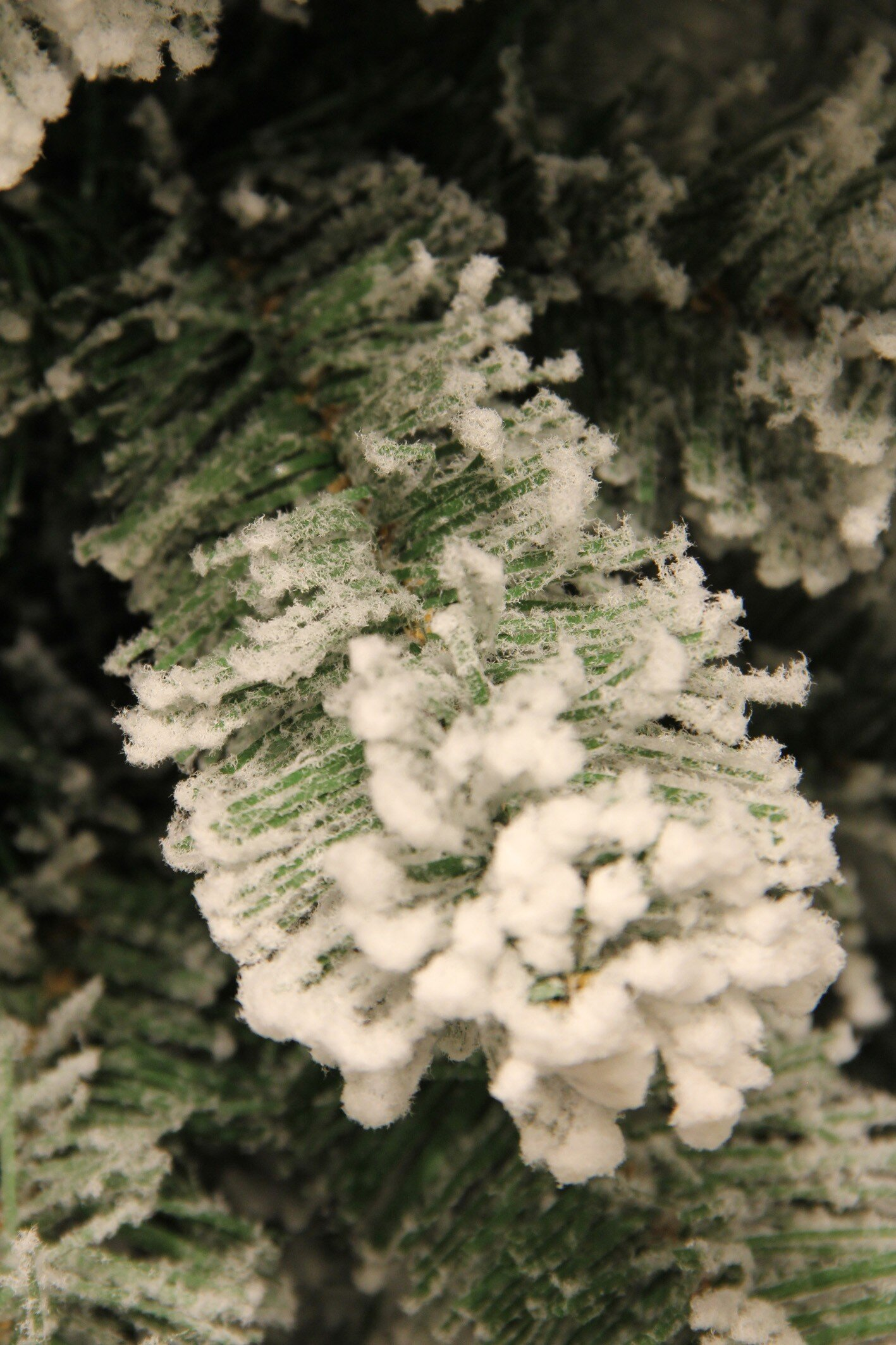 Gros plan d'une branche de conifère enneigée. Les aiguilles vertes sont saupoudrées de neige blanche et texturée, créant une scène hivernale.