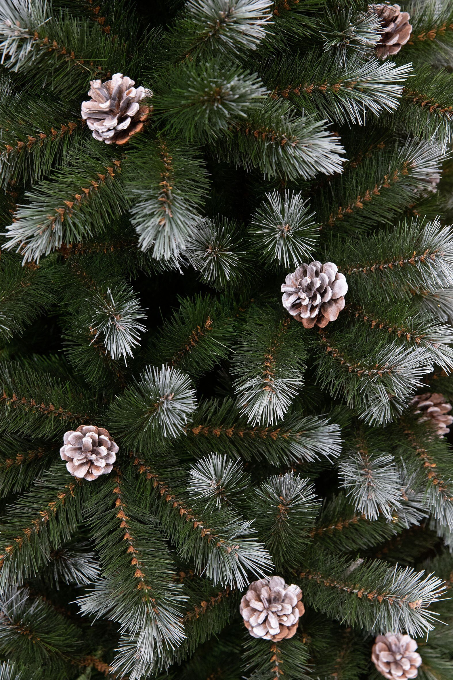 Gros plan sur un sapin de Noël avec des aiguilles vertes et des pointes givrées, orné de pommes de pin décoratives.