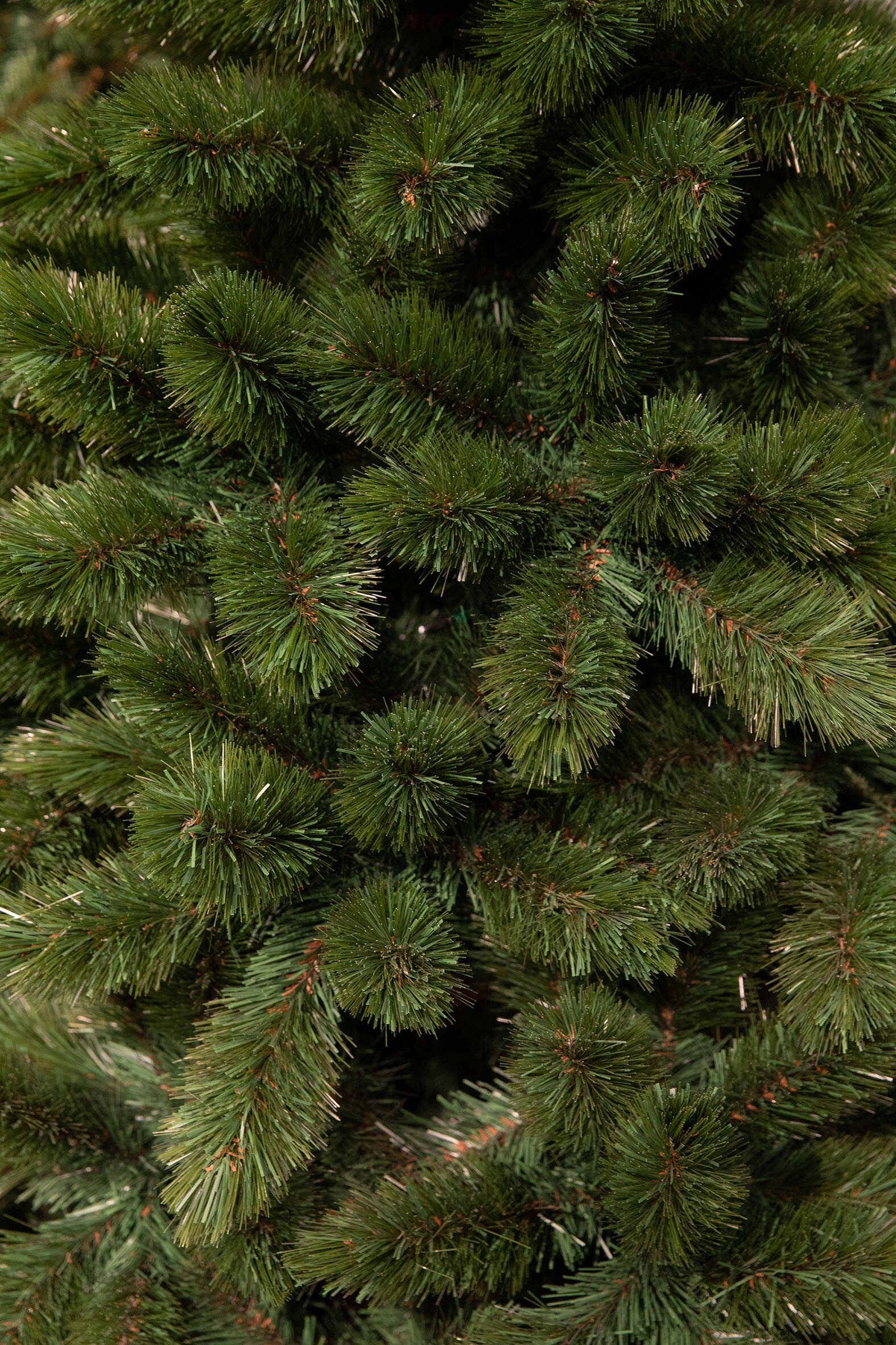 Gros plan sur un sapin de Noël vert. Les aiguilles sont denses et texturées.