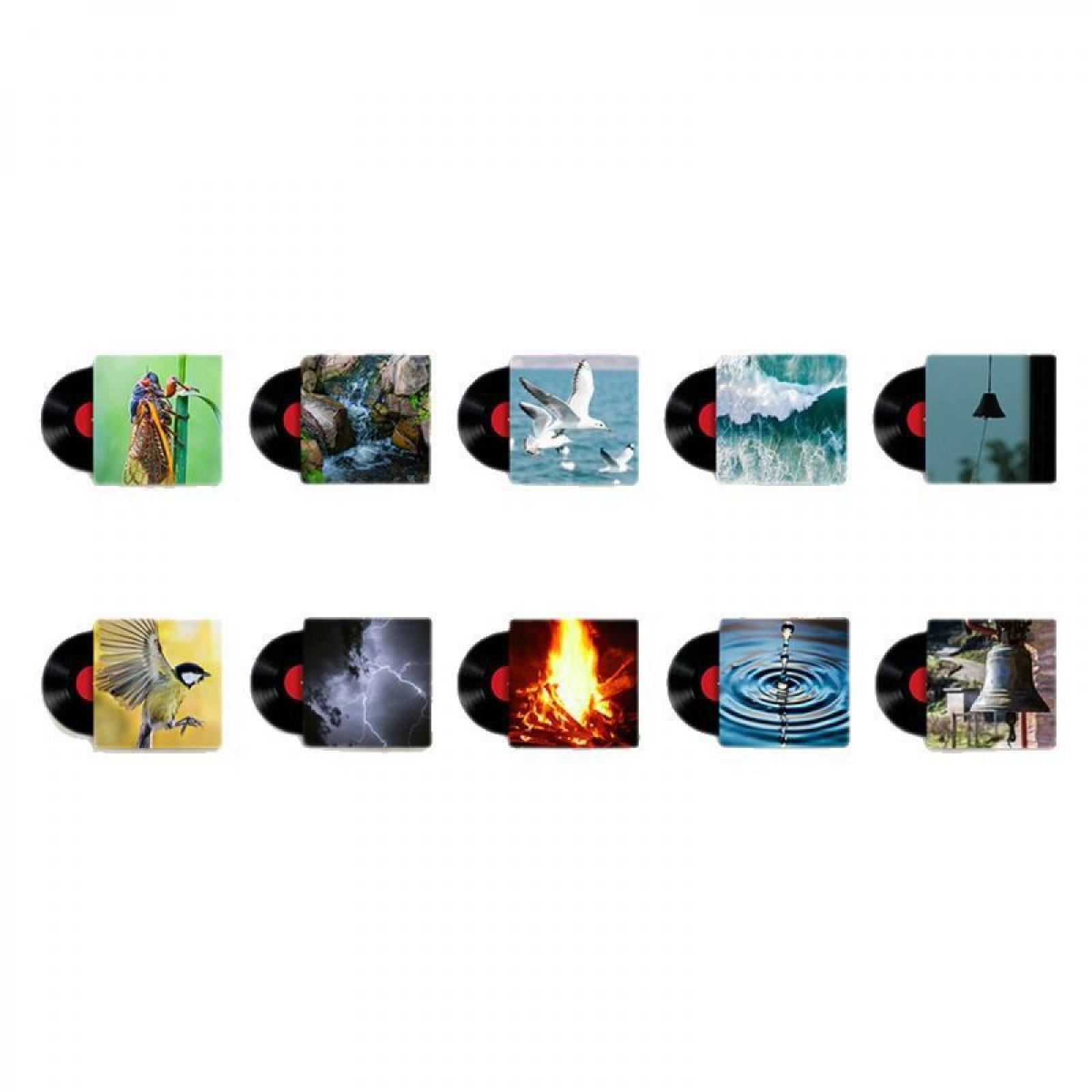 Neun Schallplatten werden gezeigt. Jede zeigt ein anderes Bild: Insekt auf Bambus, Wasserfall, Möwen, Wellen, Lampe, Vogel, Blitz, Feuer, Wassertropfen, Glocken.