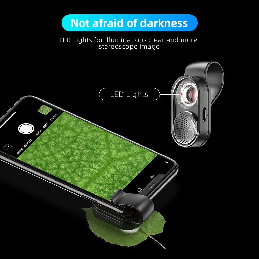 Ein Telefon zeigt ein Blatt, das durch eine Linse mit LED-Leuchten vergrößert wird. Text: „Keine Angst vor der Dunkelheit“ und „LED-Leuchten“.