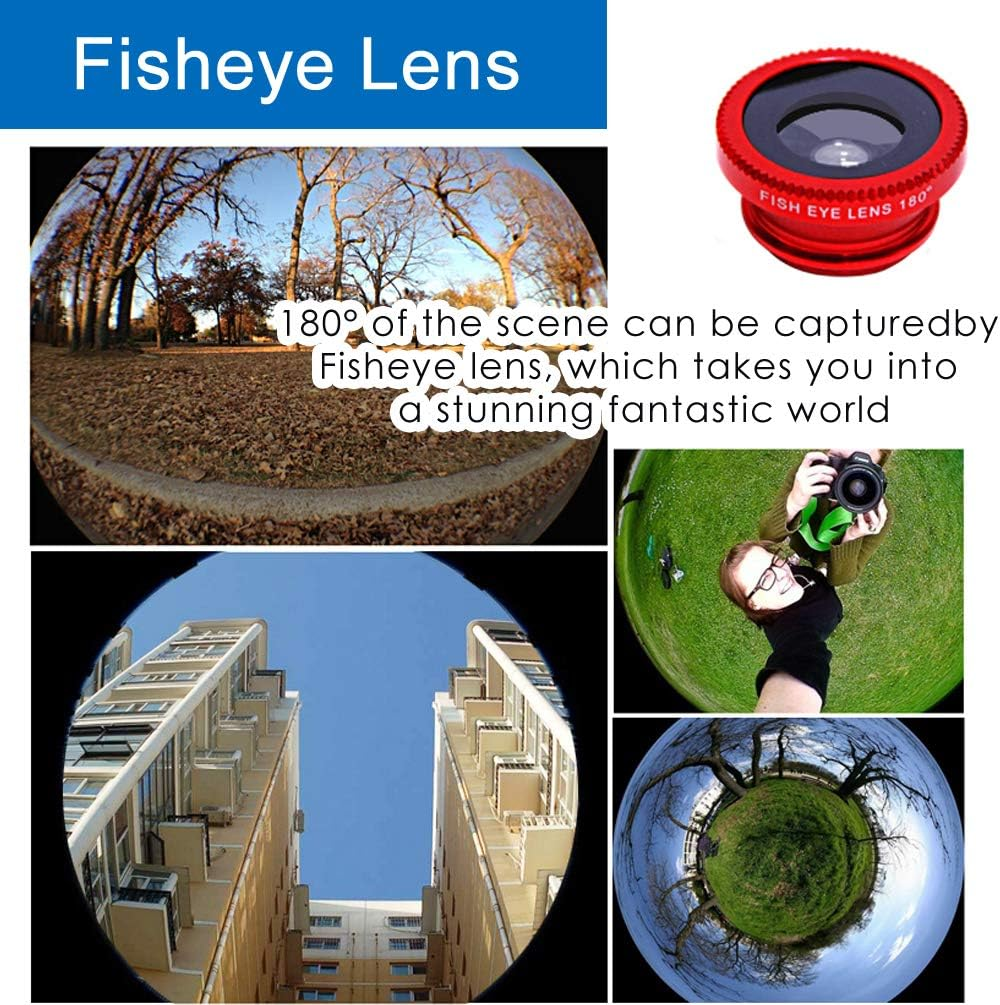 Das Bild zeigt ein Fisheye-Objektiv mit Beispielen: Parkszenen, Gebäude, eine Person, die Fotos macht, und eine sphärische Ansicht.